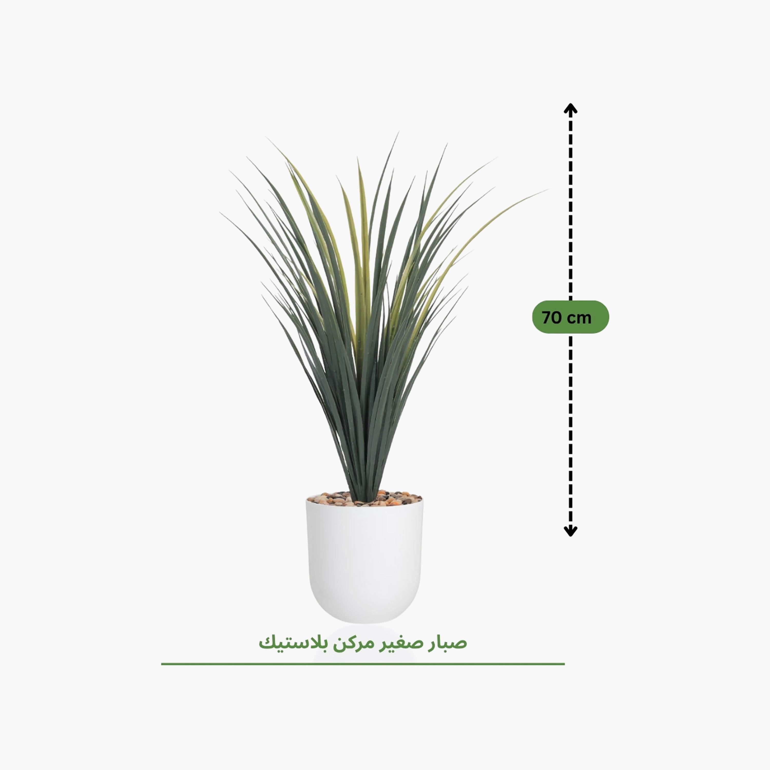 Maria Homes Potted Artificial Grass Plant-household-gardenandoutdoor-artificialflowersandplants-flowers-image-4