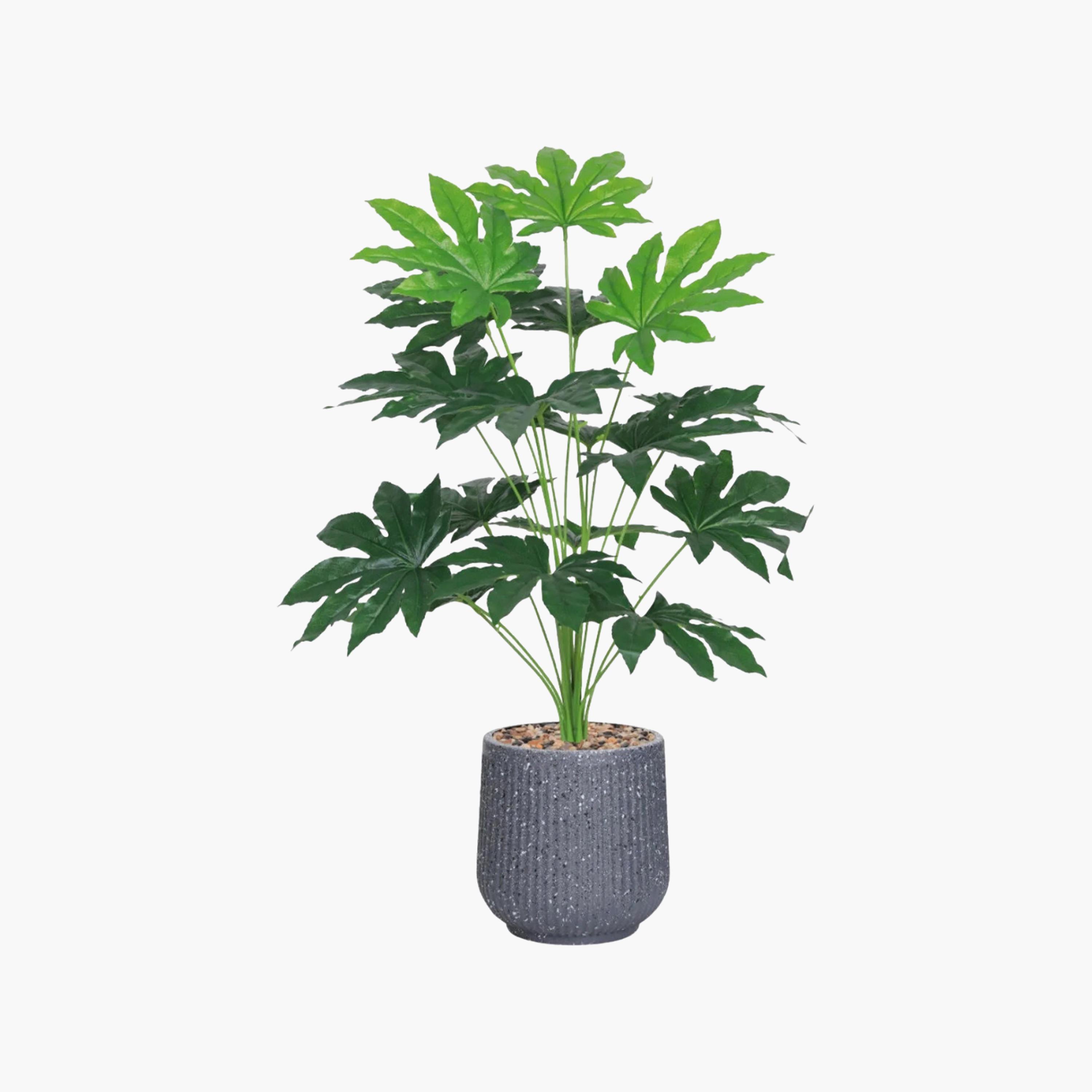 نبات صناعي في أصيص من ماريا هومز-household-gardenandoutdoor-artificialflowersandplants-flowers-image-2