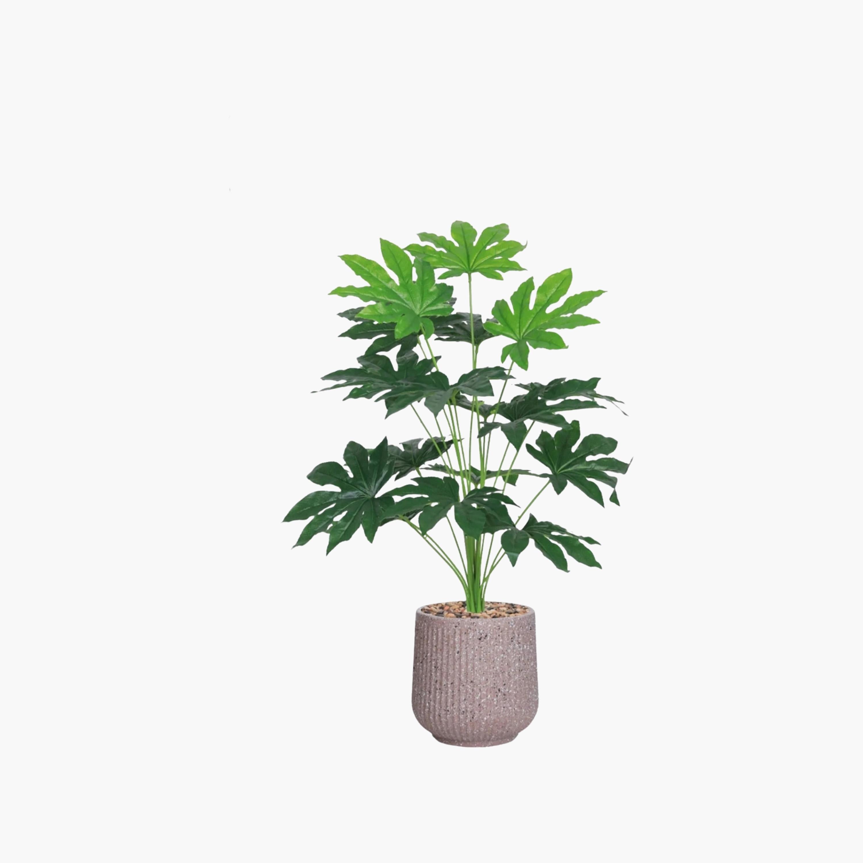 نبات صناعي في أصيص من ماريا هومز-household-gardenandoutdoor-artificialflowersandplants-flowers-image-2