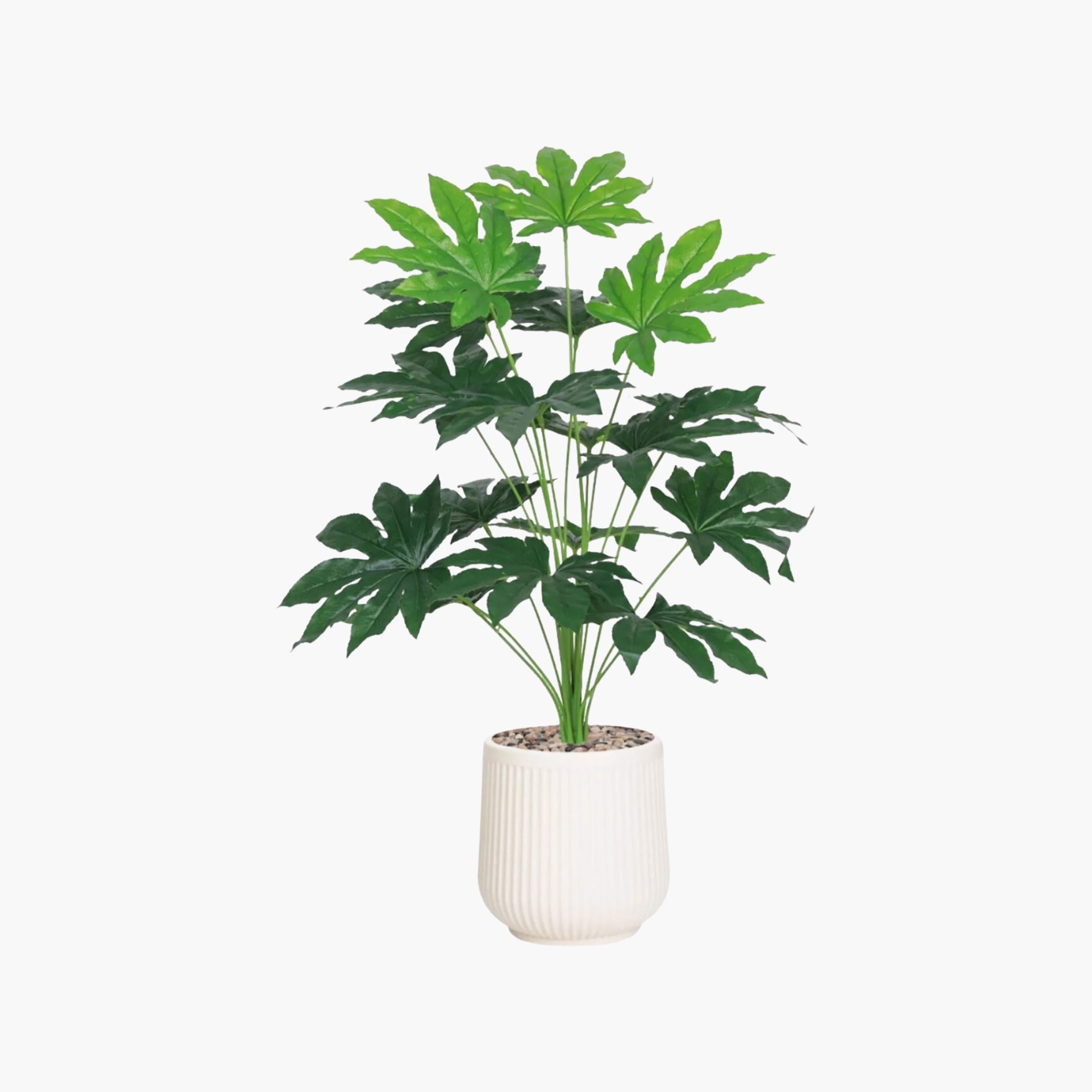 نبات صناعي في أصيص من ماريا هومز-household-gardenandoutdoor-artificialflowersandplants-flowers-image-2