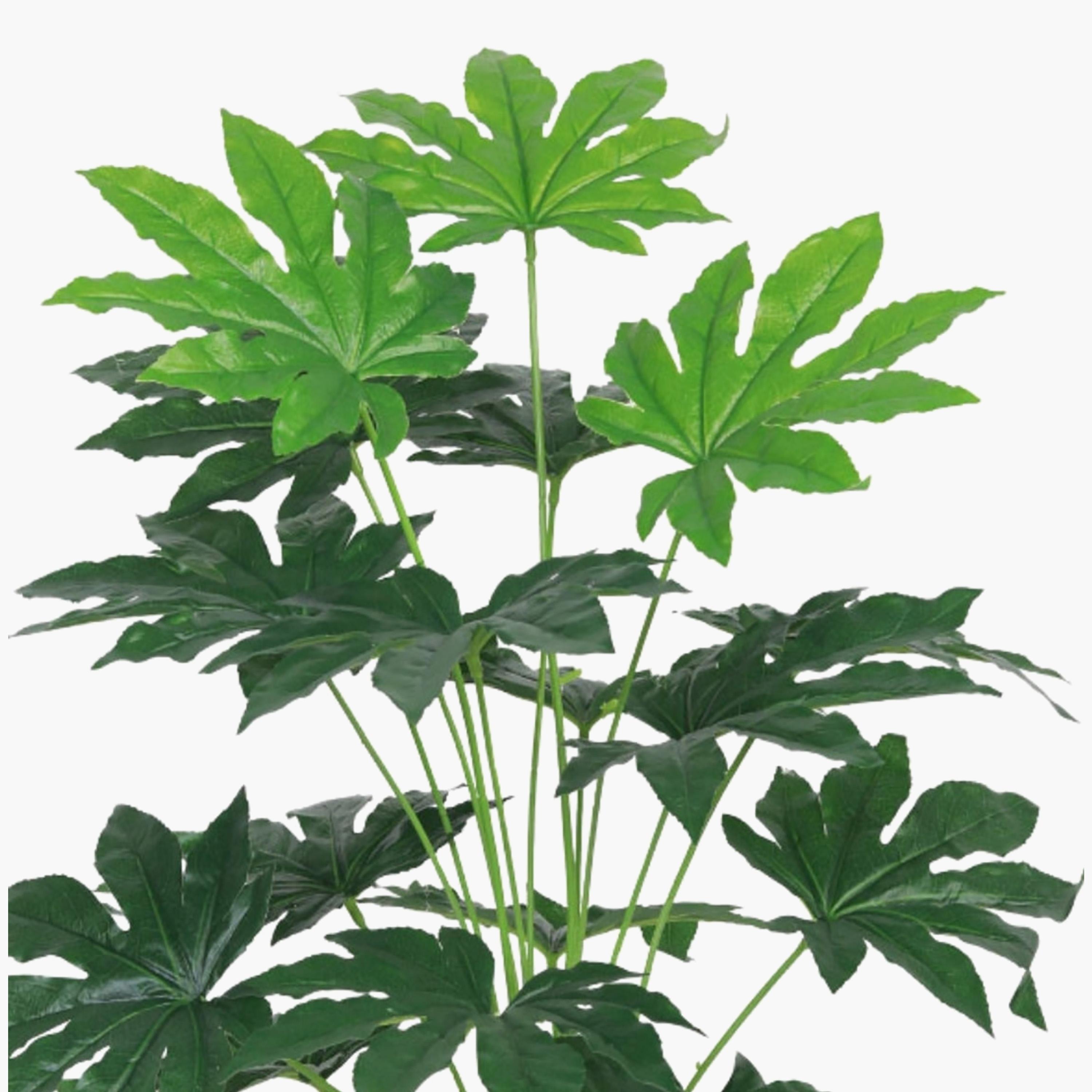 نبات صناعي في أصيص من ماريا هومز-household-gardenandoutdoor-artificialflowersandplants-flowers-image-3