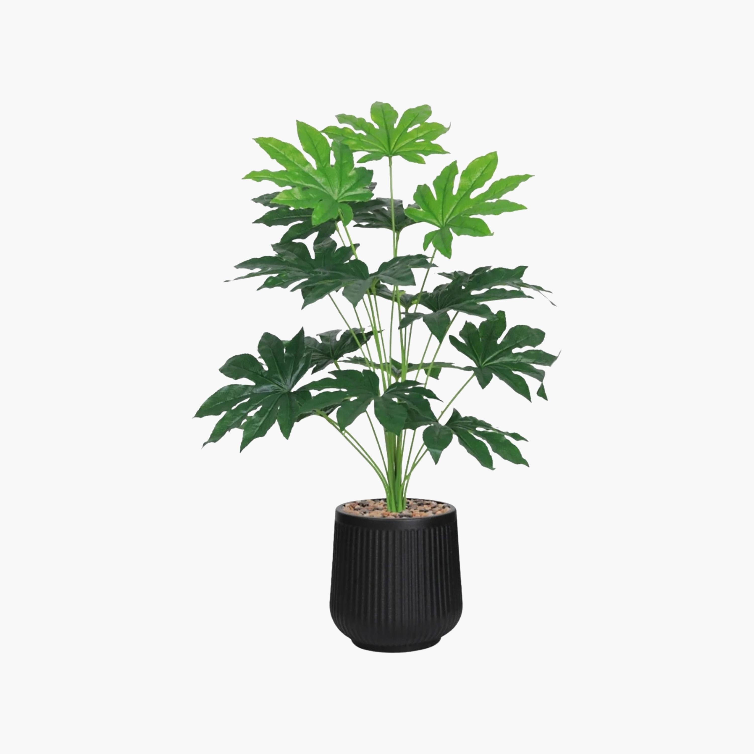 Maria Homes Potted Artificial Plant-household-gardenandoutdoor-artificialflowersandplants-flowers-image-2