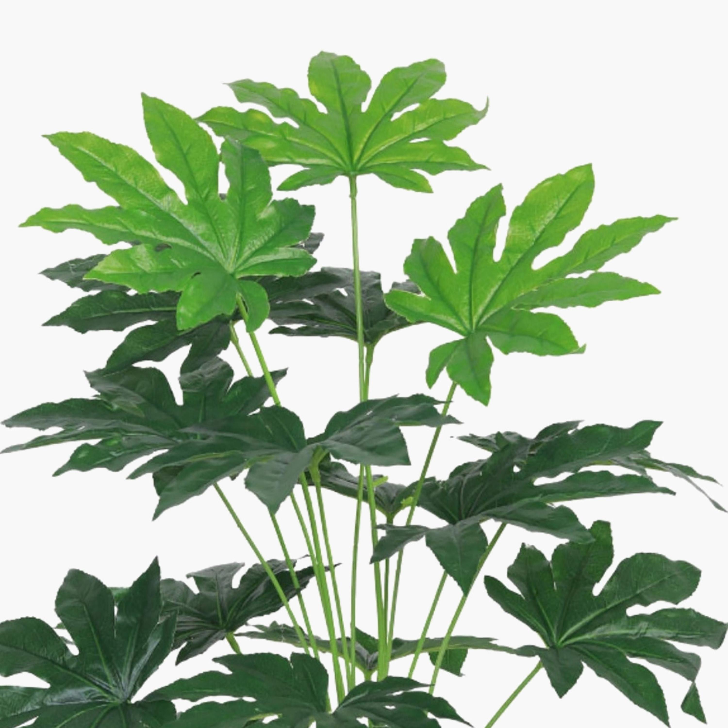 Maria Homes Potted Artificial Plant-household-gardenandoutdoor-artificialflowersandplants-flowers-image-3