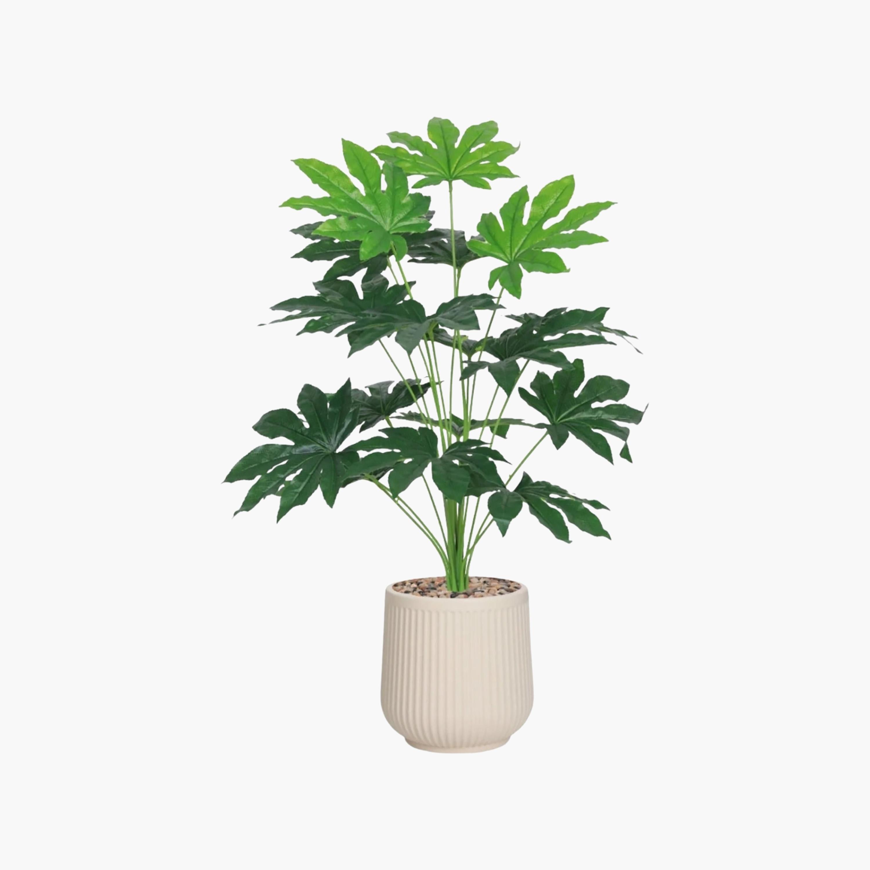 نبات صناعي في أصيص من ماريا هومز-household-gardenandoutdoor-artificialflowersandplants-flowers-image-2