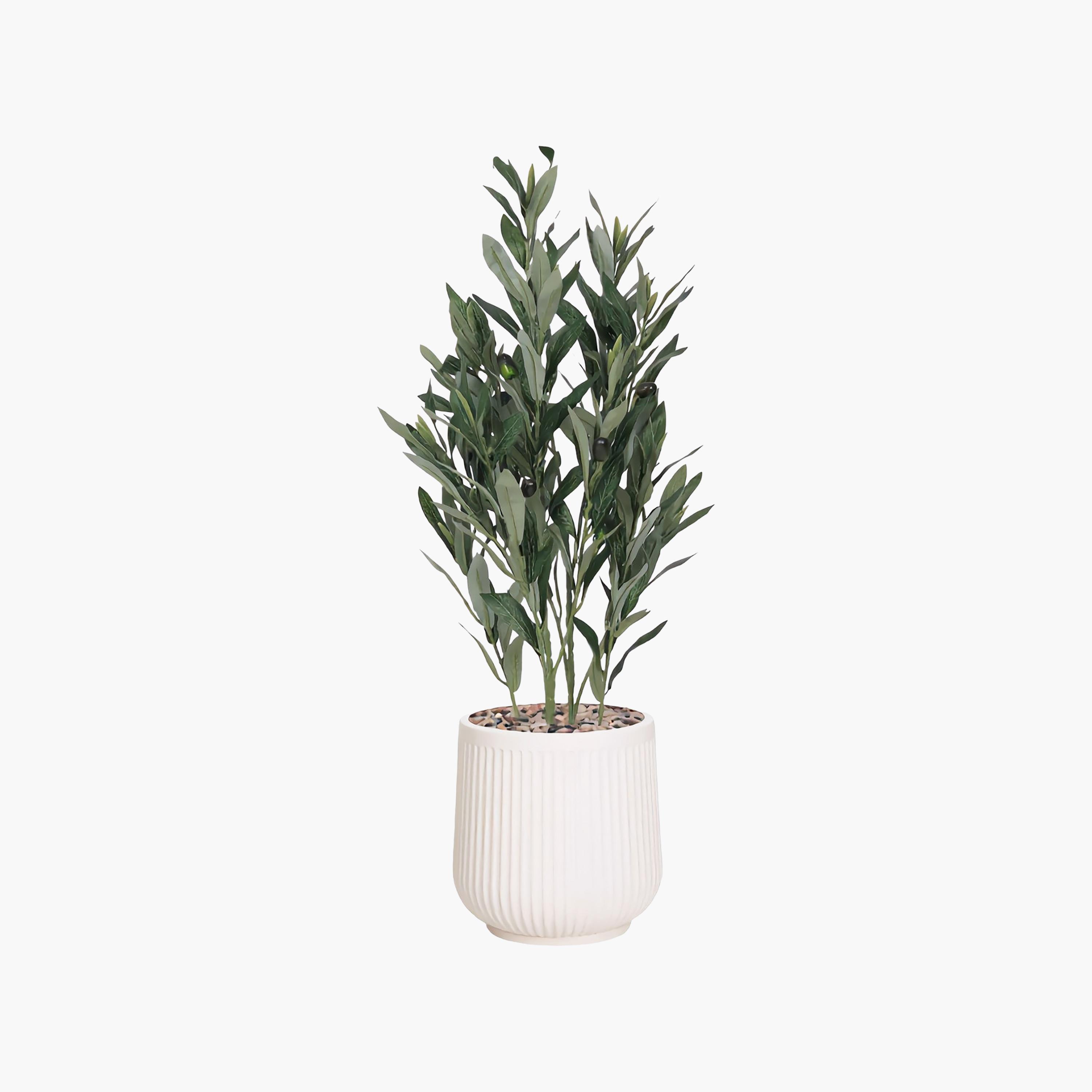 نبتة زيتون صناعية في أصيص من ماريا هومز-household-gardenandoutdoor-artificialflowersandplants-flowers-image-2