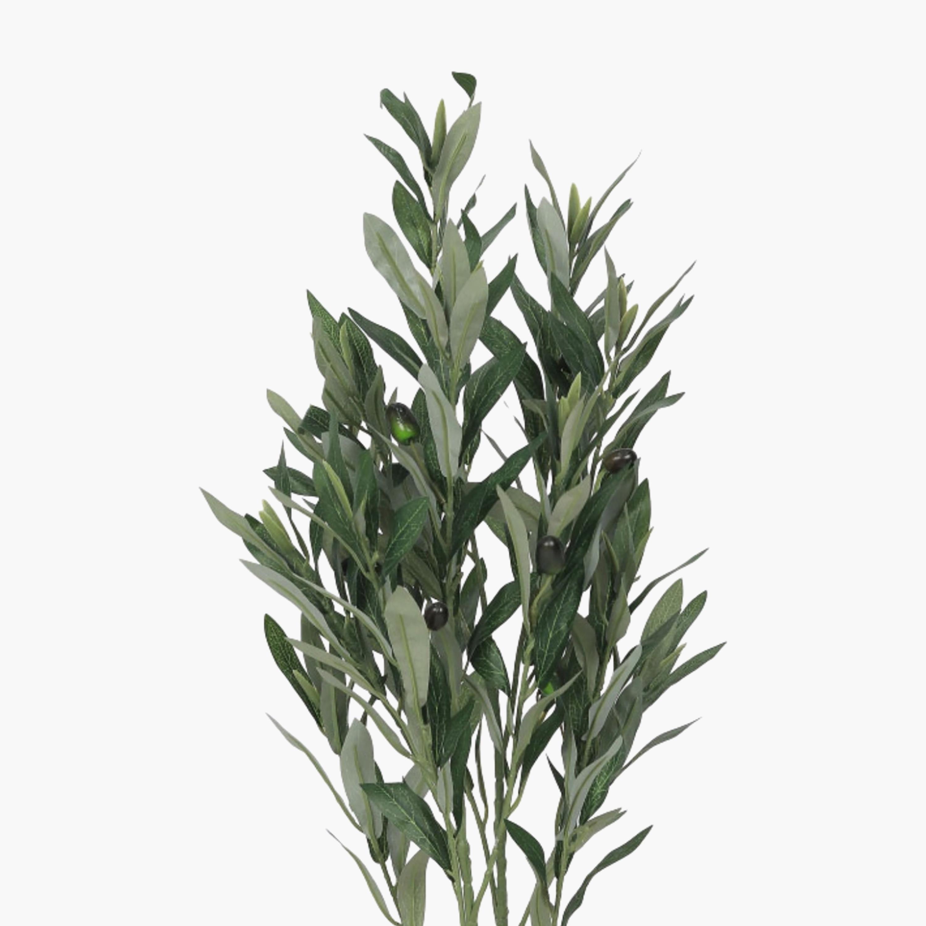 نبتة زيتون صناعية في أصيص من ماريا هومز-household-gardenandoutdoor-artificialflowersandplants-flowers-image-3