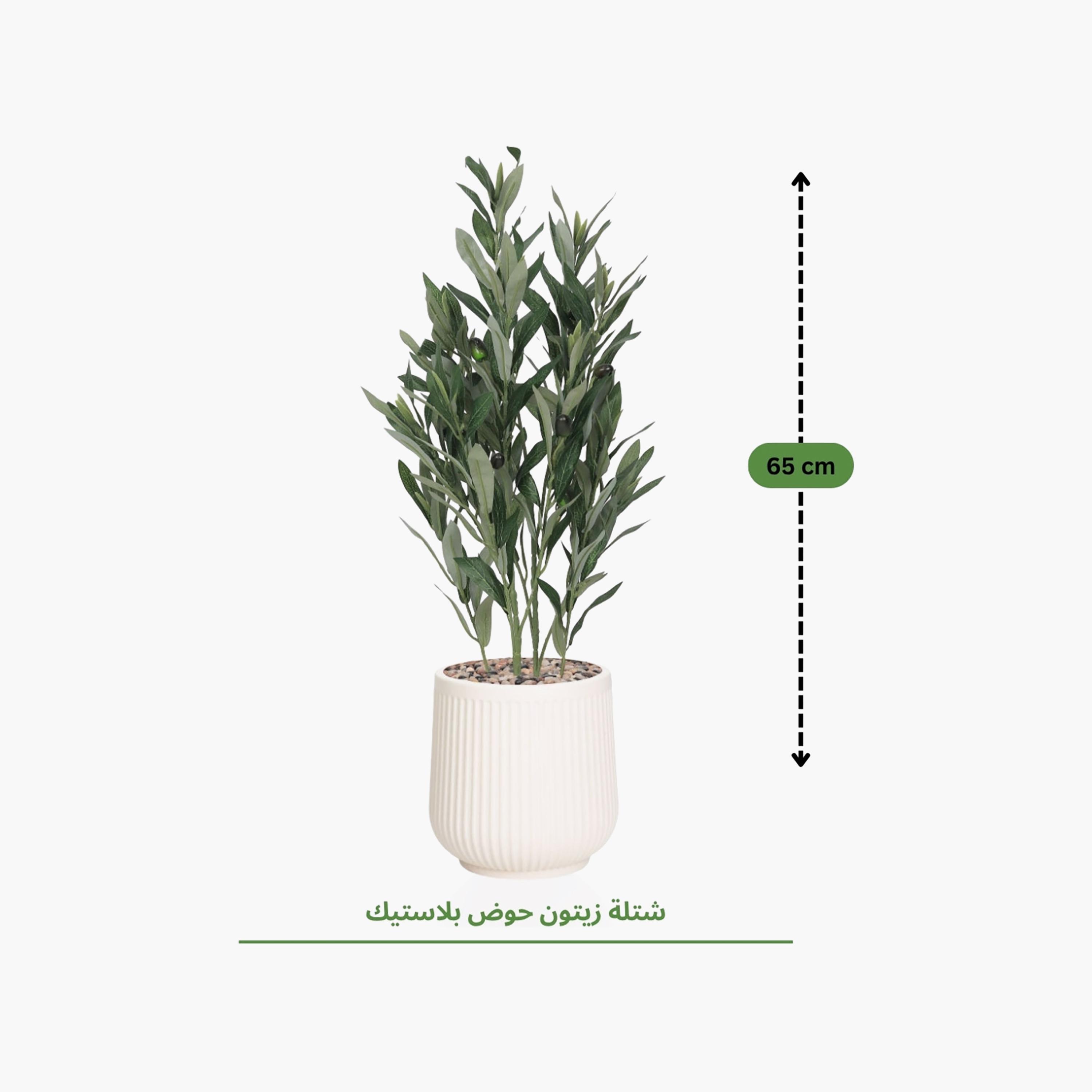 نبتة زيتون صناعية في أصيص من ماريا هومز-household-gardenandoutdoor-artificialflowersandplants-flowers-image-4