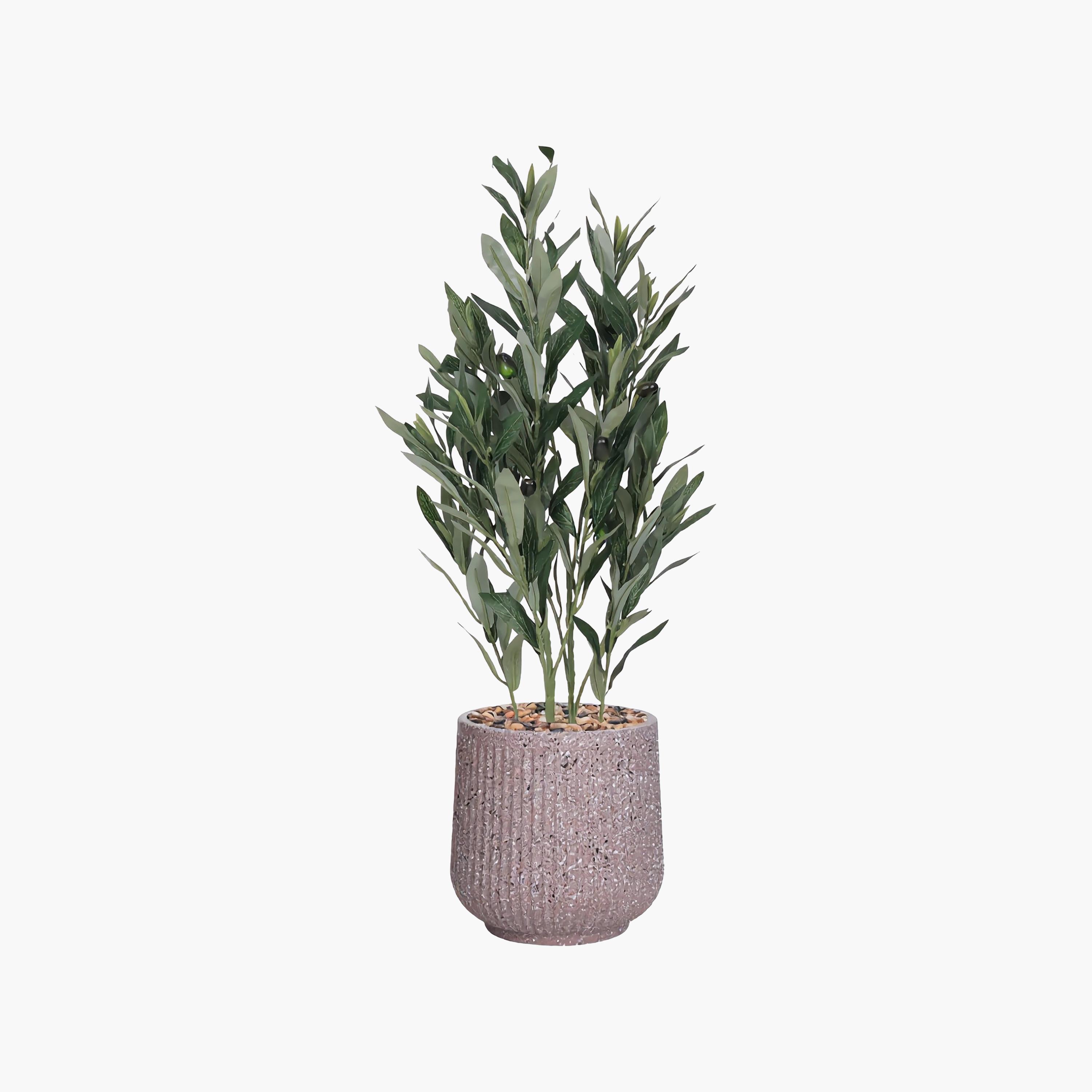 Maria Homes Potted Artificial Olive Plant-household-gardenandoutdoor-artificialflowersandplants-flowers-image-2