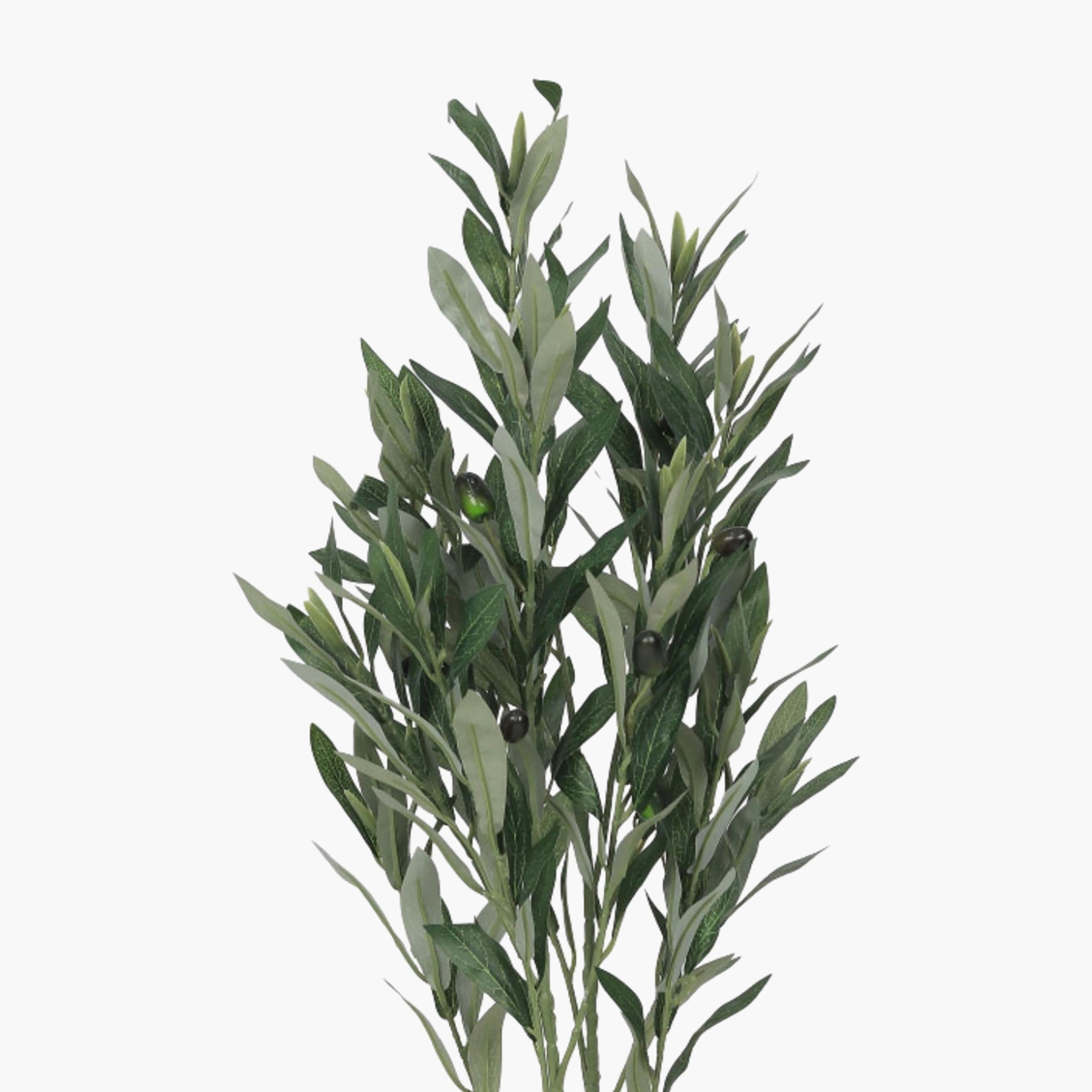 Maria Homes Potted Artificial Olive Plant-household-gardenandoutdoor-artificialflowersandplants-flowers-image-3