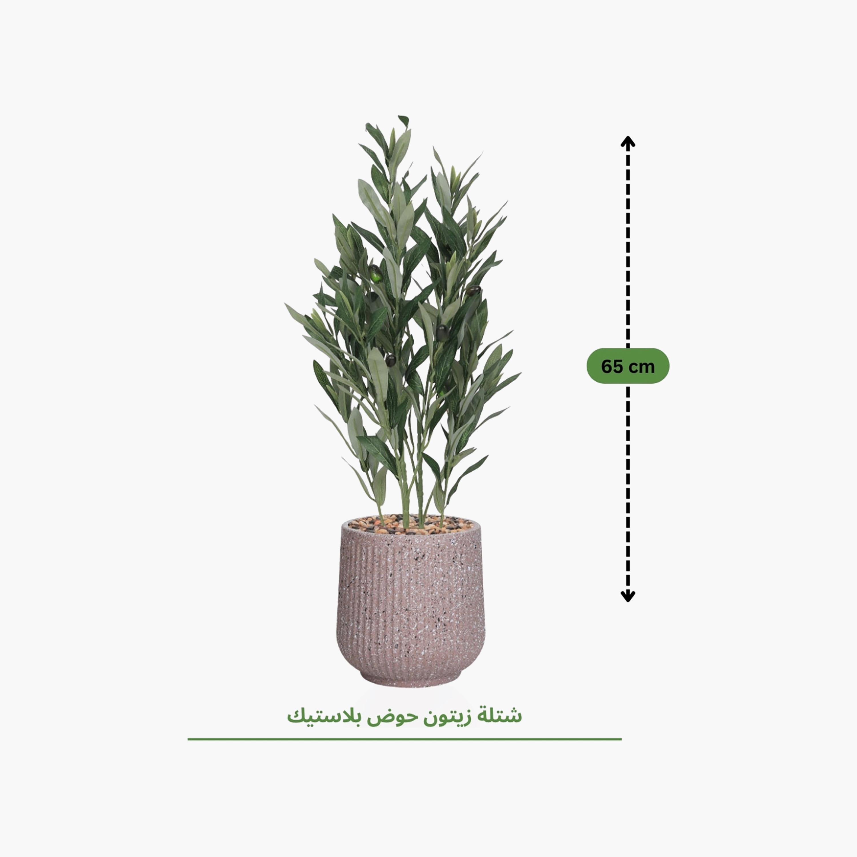 Maria Homes Potted Artificial Olive Plant-household-gardenandoutdoor-artificialflowersandplants-flowers-image-4