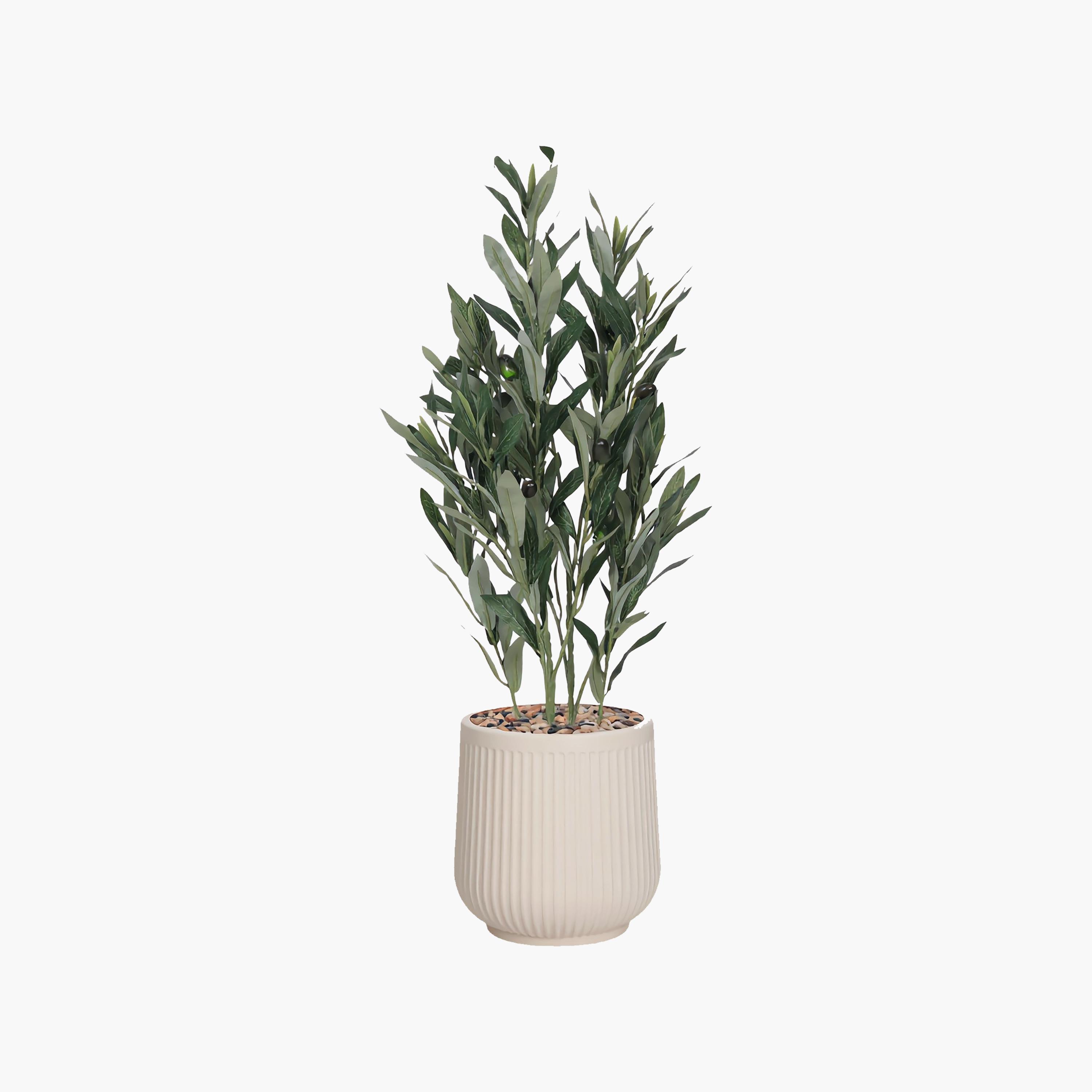 Maria Homes Potted Artificial Olive Plant-household-gardenandoutdoor-artificialflowersandplants-flowers-image-2