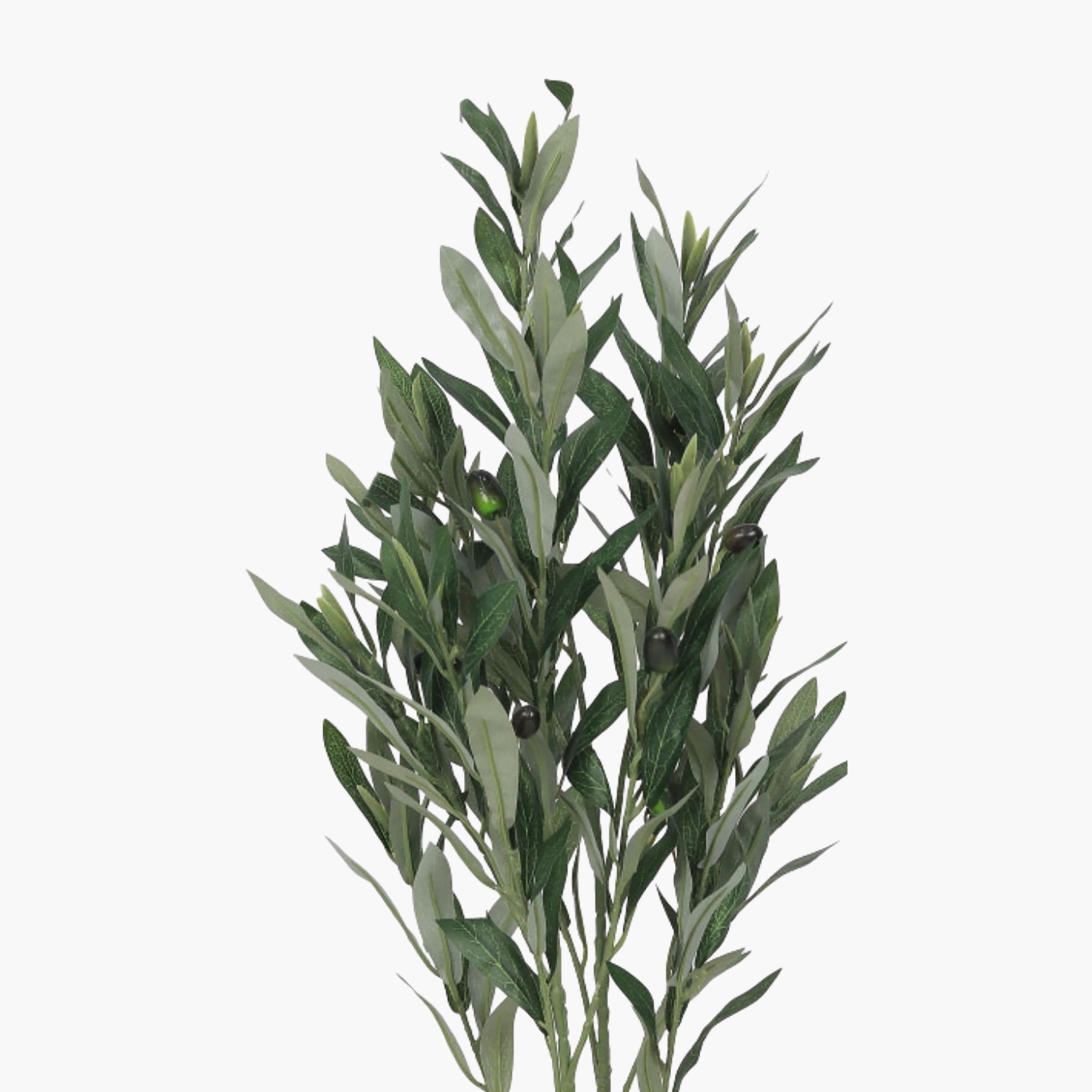 Maria Homes Potted Artificial Olive Plant-household-gardenandoutdoor-artificialflowersandplants-flowers-image-3