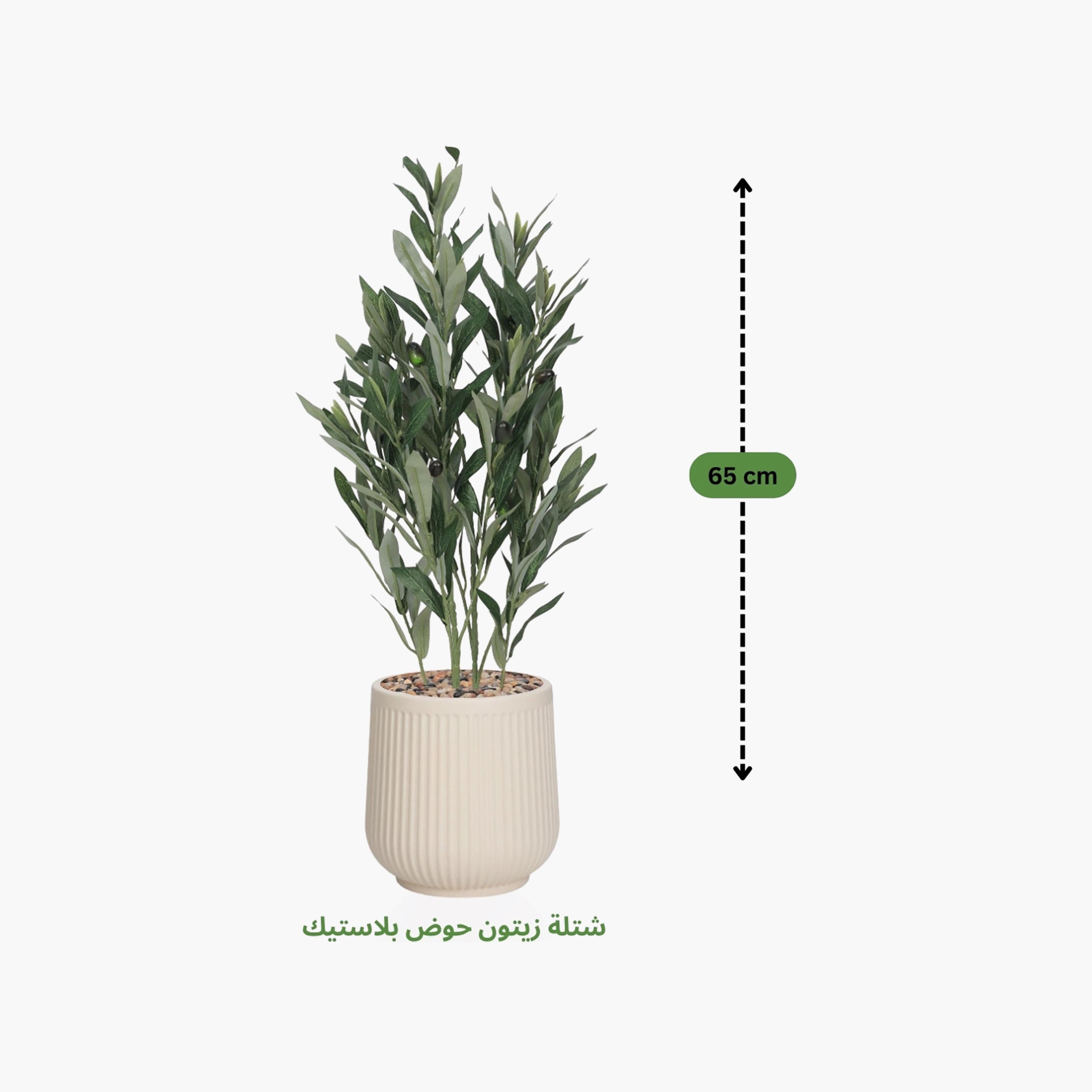 Maria Homes Potted Artificial Olive Plant-household-gardenandoutdoor-artificialflowersandplants-flowers-image-4