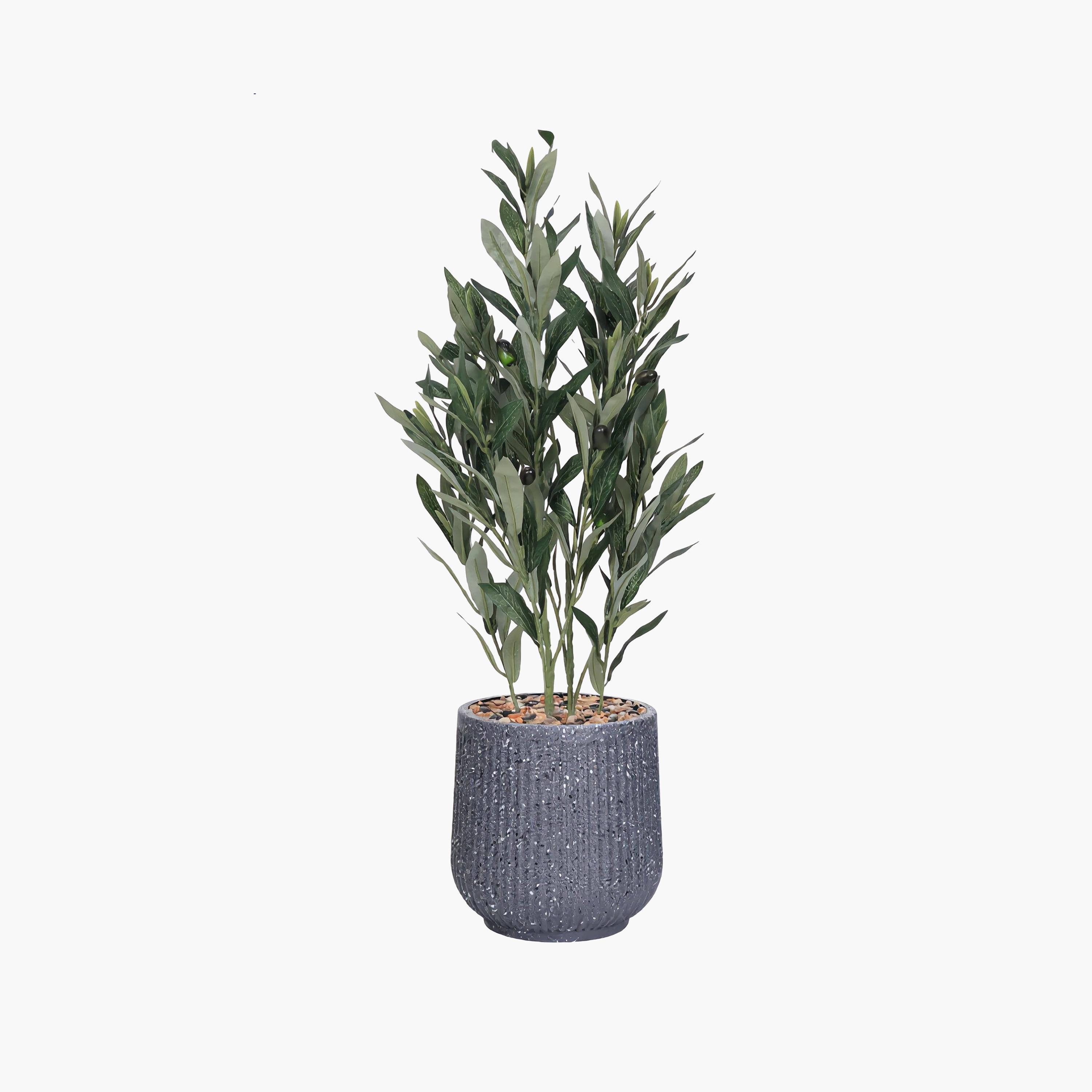 نبتة زيتون صناعية في أصيص من ماريا هومز-household-gardenandoutdoor-artificialflowersandplants-flowers-image-2