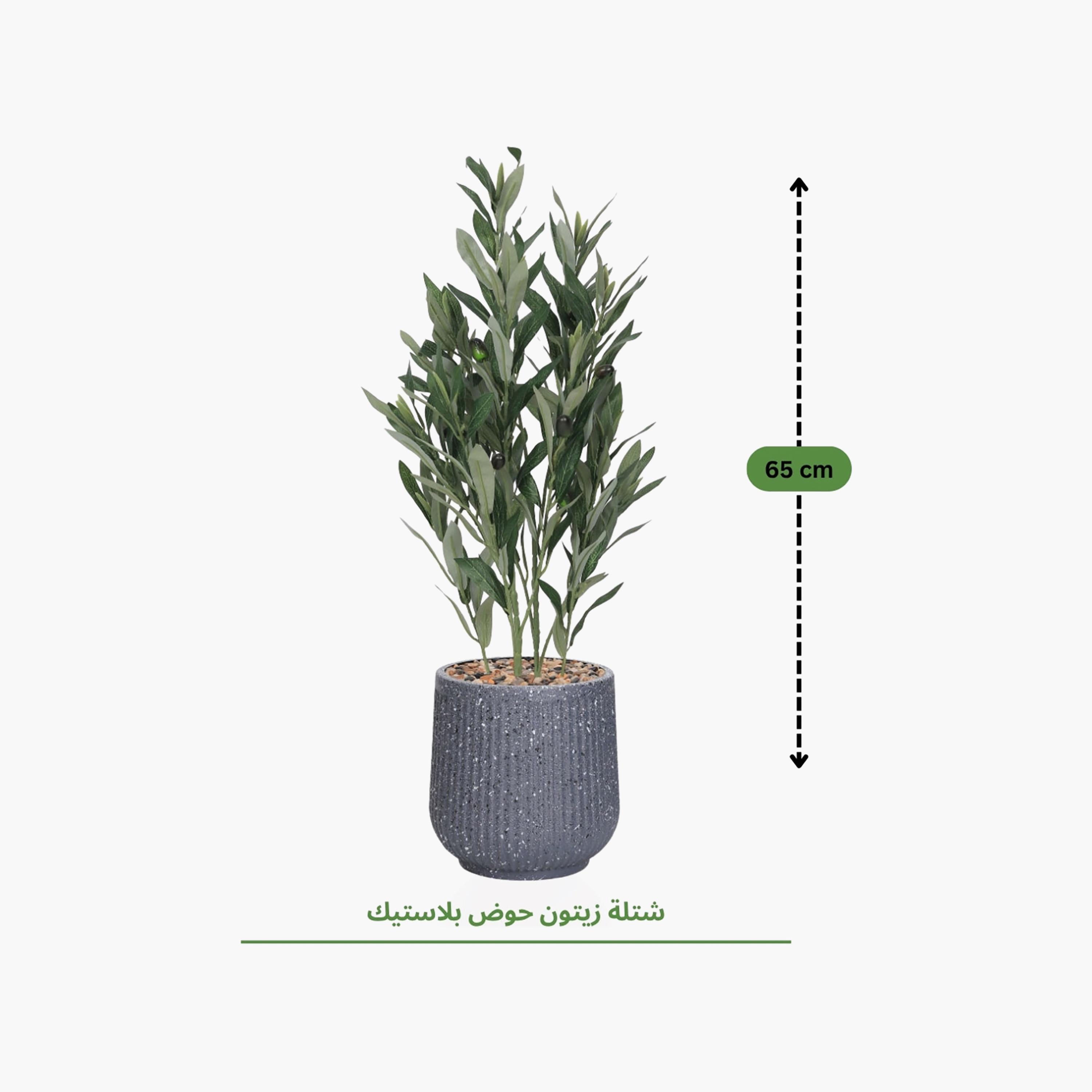 نبتة زيتون صناعية في أصيص من ماريا هومز-household-gardenandoutdoor-artificialflowersandplants-flowers-image-4