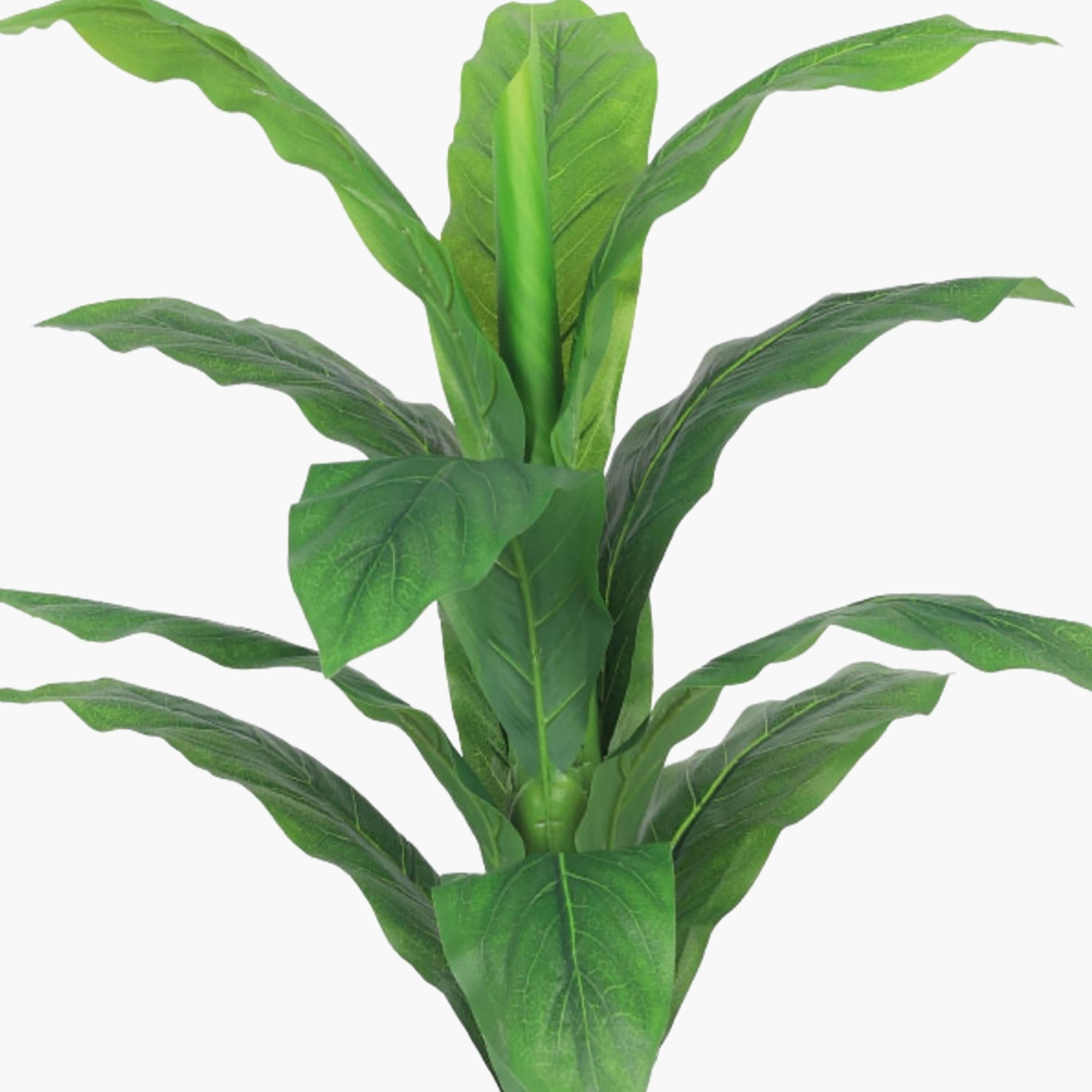 نبتة أوراق صناعية بأصيص من ماريا هومز-household-gardenandoutdoor-artificialflowersandplants-flowers-image-3