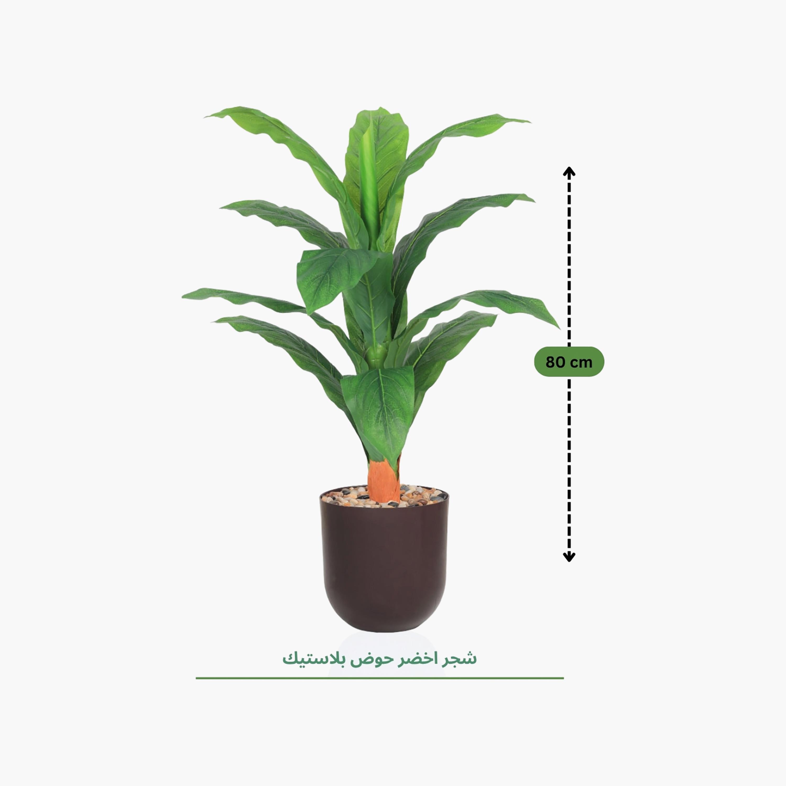نبتة أوراق صناعية بأصيص من ماريا هومز-household-gardenandoutdoor-artificialflowersandplants-flowers-image-4