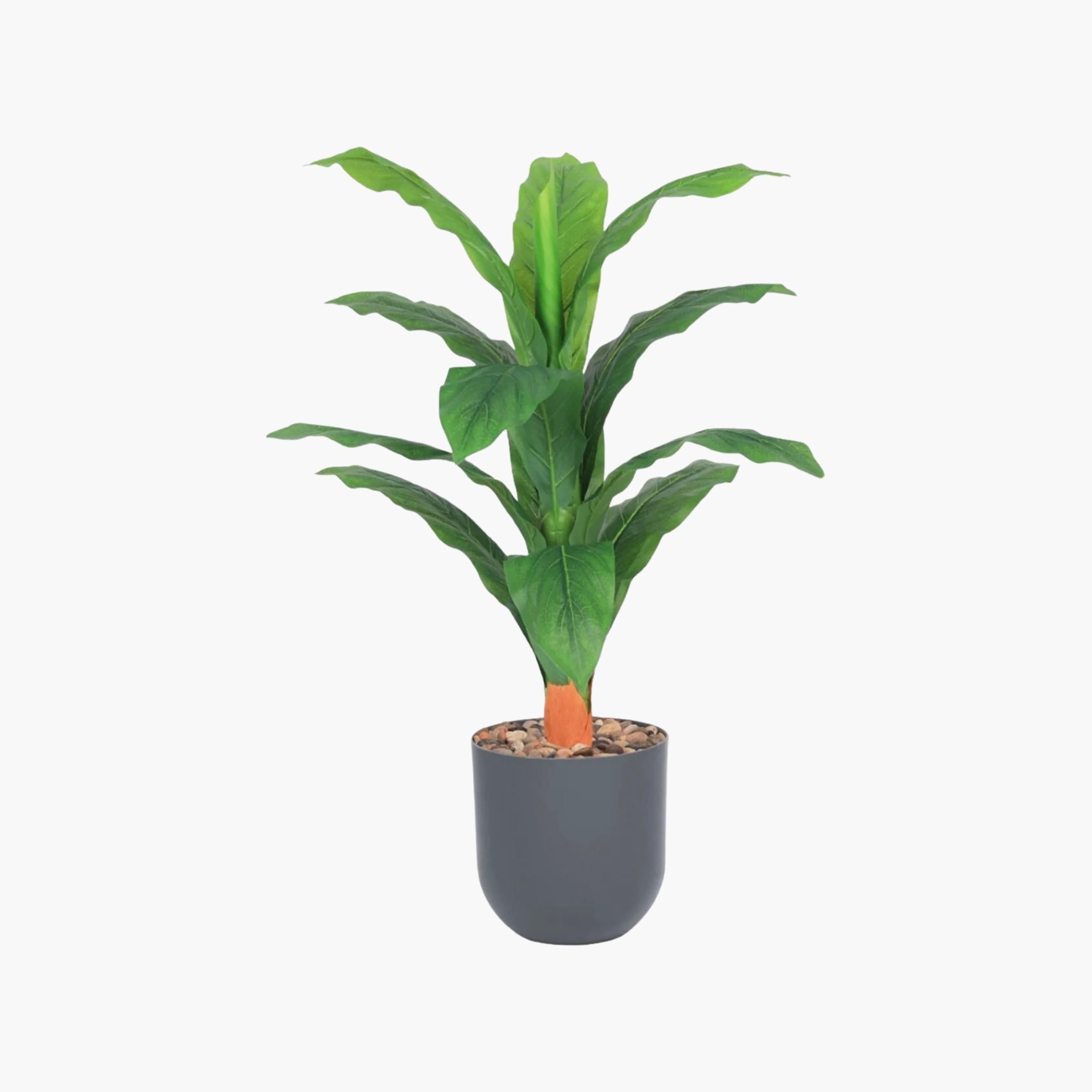 نبتة أوراق صناعية بأصيص من ماريا هومز-household-gardenandoutdoor-artificialflowersandplants-flowers-image-2