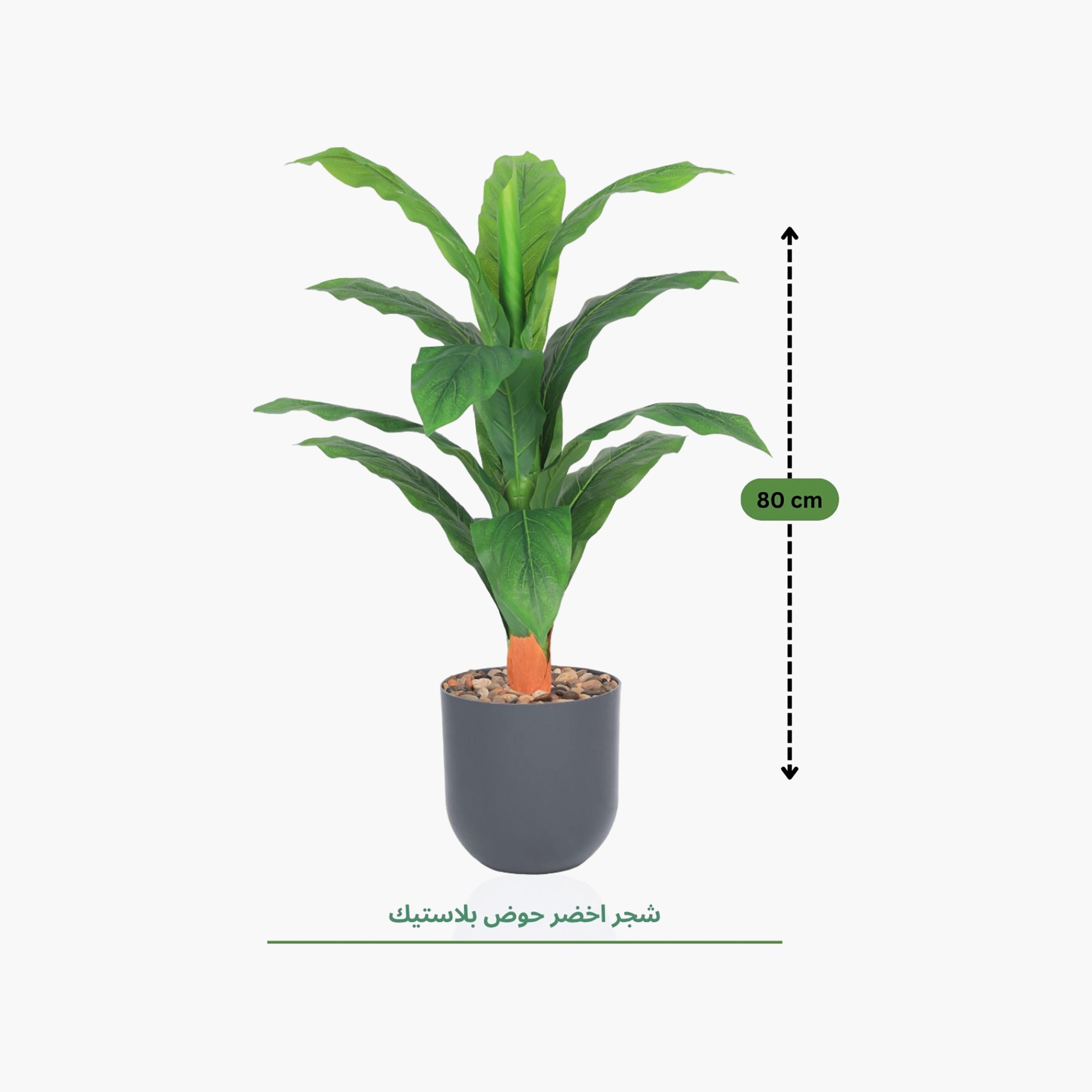 نبتة أوراق صناعية بأصيص من ماريا هومز-household-gardenandoutdoor-artificialflowersandplants-flowers-image-4