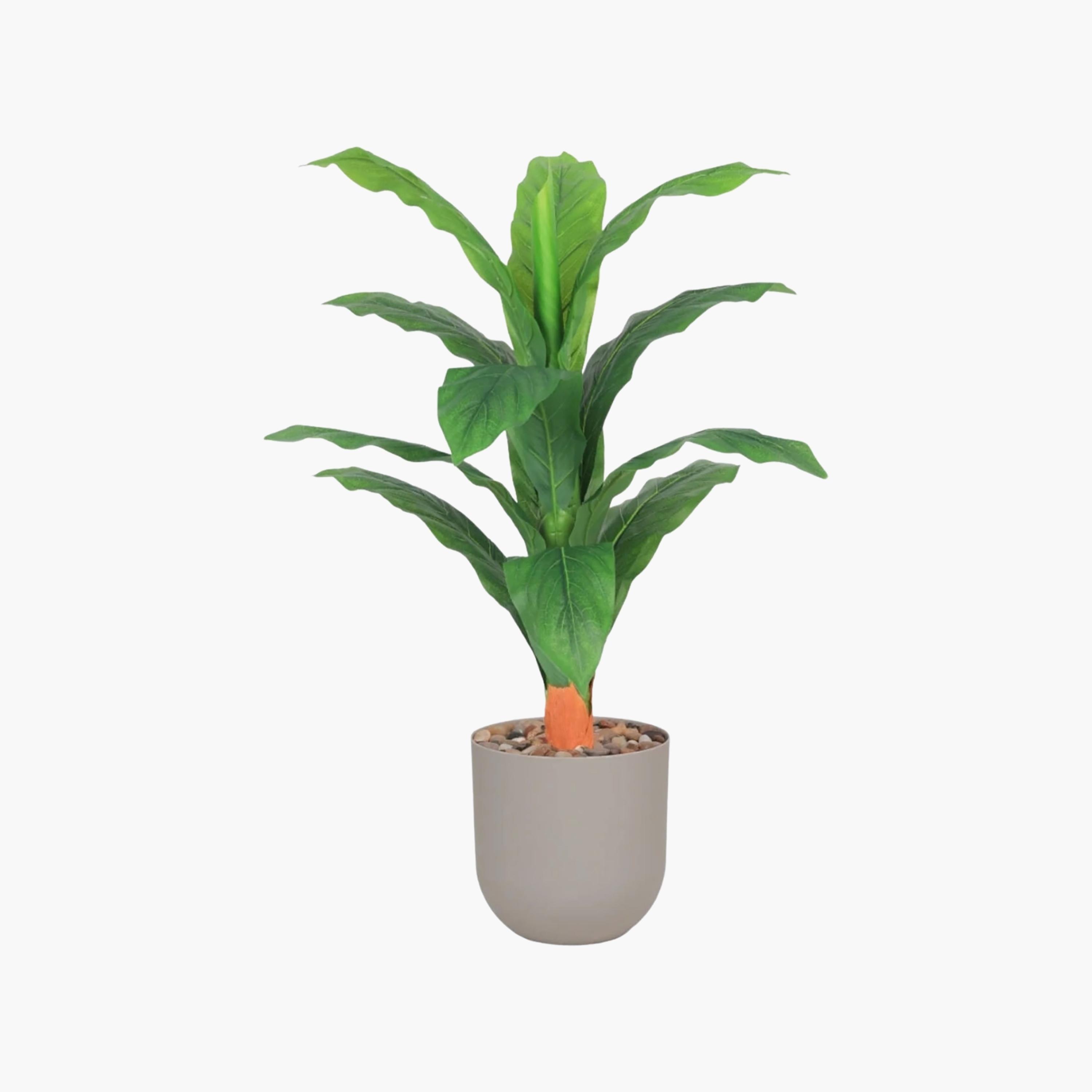 نبتة أوراق صناعية بأصيص من ماريا هومز-household-gardenandoutdoor-artificialflowersandplants-flowers-image-2