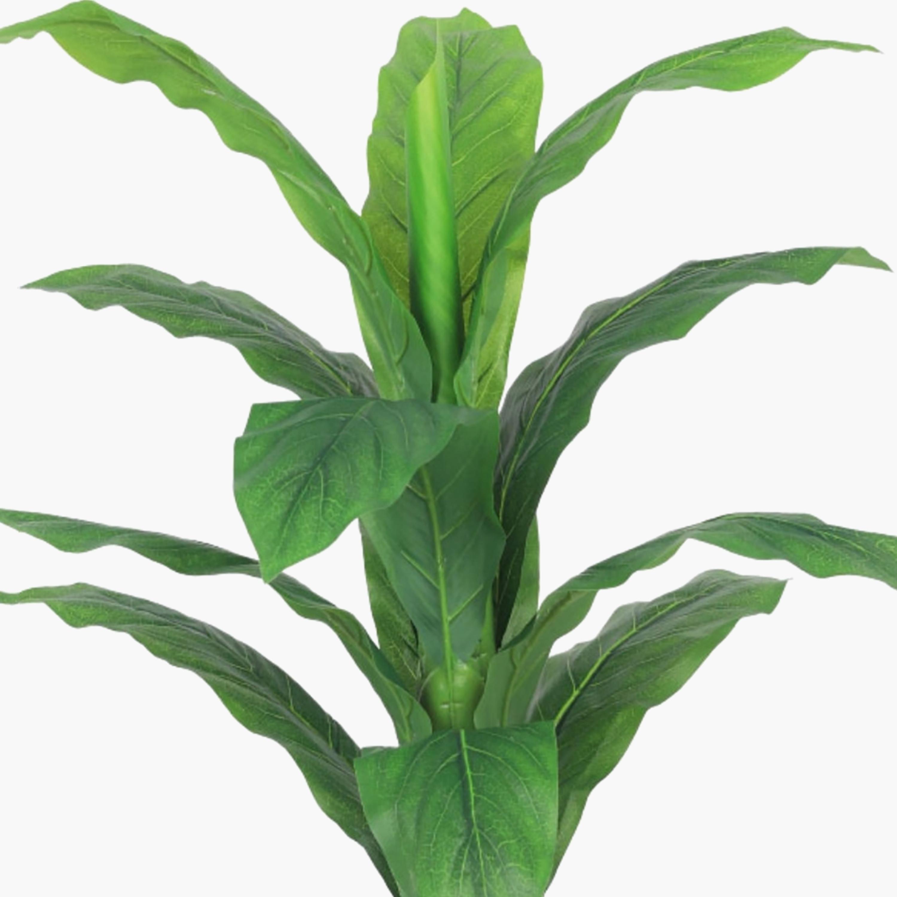 نبتة أوراق صناعية بأصيص من ماريا هومز-household-gardenandoutdoor-artificialflowersandplants-flowers-image-3