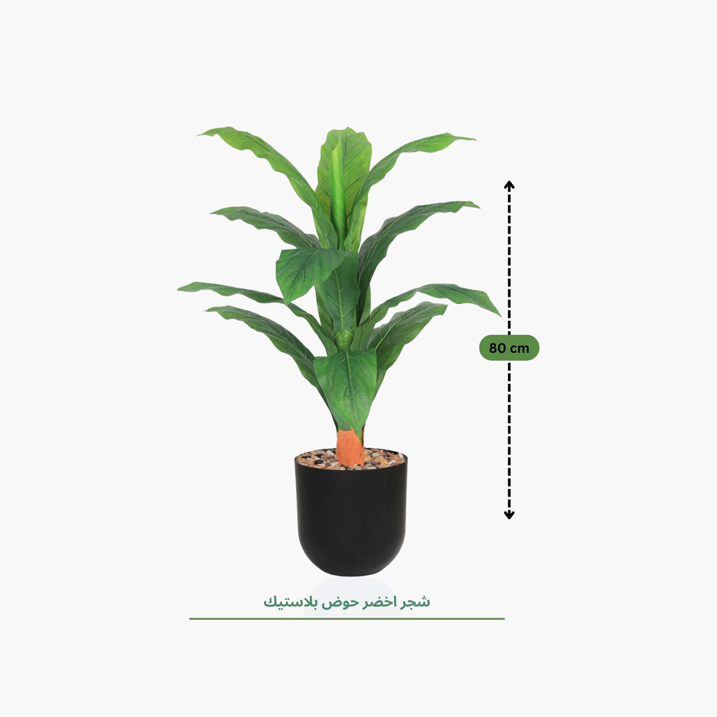 نبتة أوراق صناعية بأصيص من ماريا هومز-household-gardenandoutdoor-artificialflowersandplants-flowers-image-4