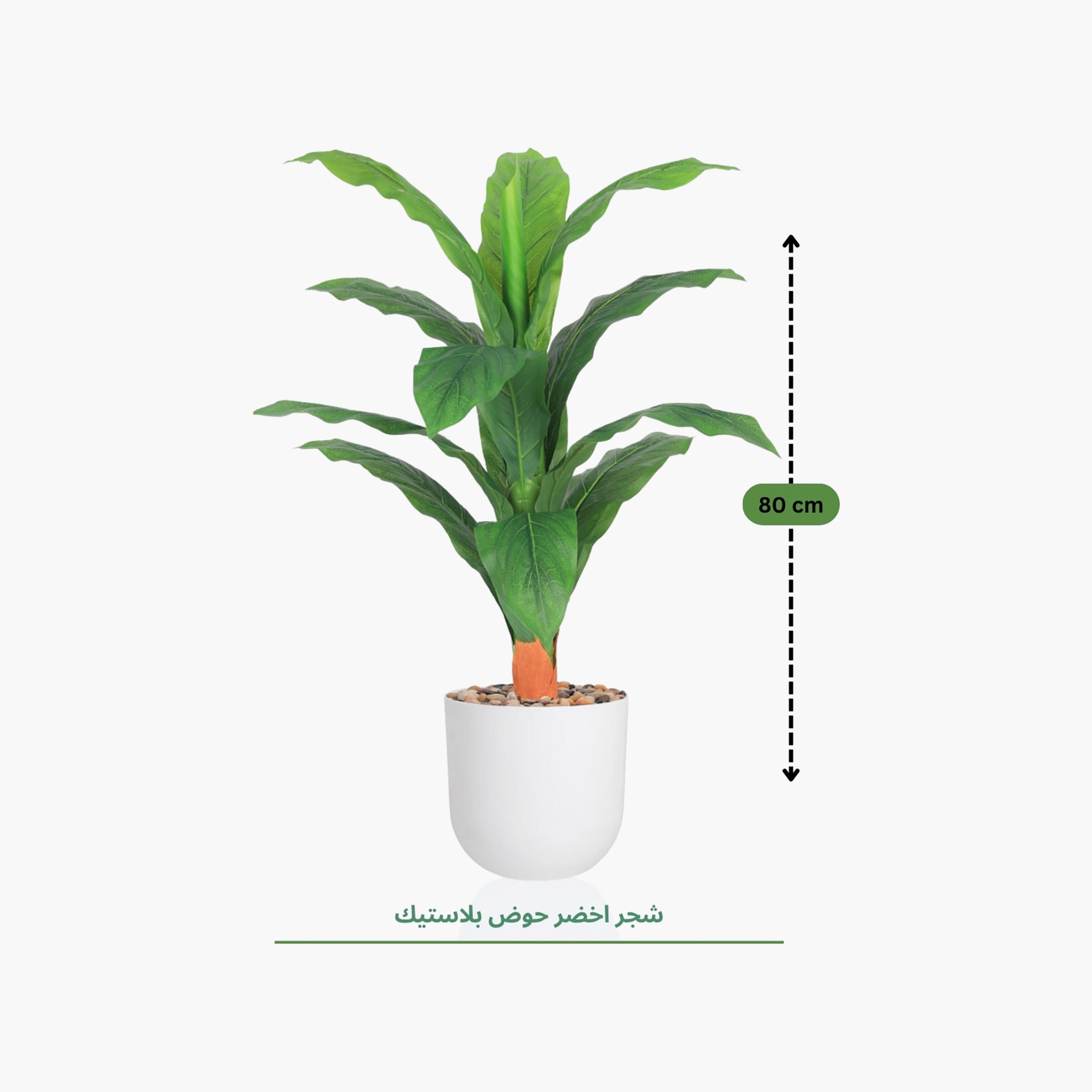 Maria Homes Potted Artificial Leaf Plant-household-gardenandoutdoor-artificialflowersandplants-flowers-image-4