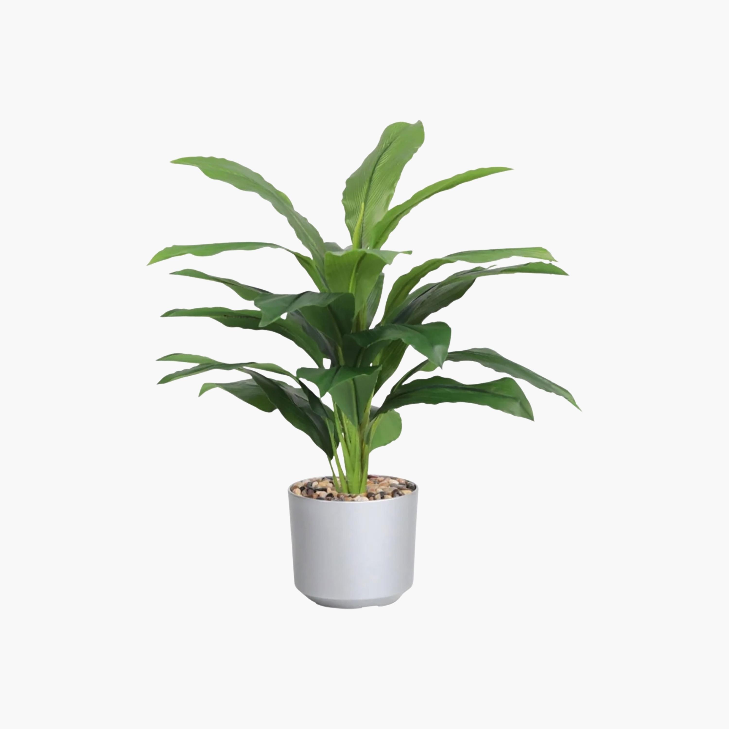 Maria Homes Potted Artificial Leaf Plant-household-gardenandoutdoor-artificialflowersandplants-flowers-image-2