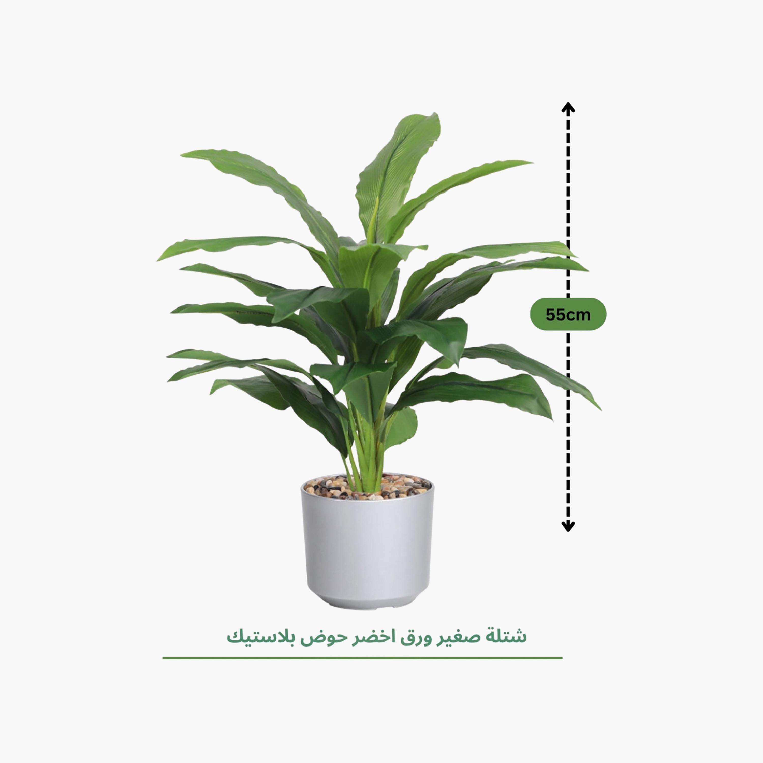 Maria Homes Potted Artificial Leaf Plant-household-gardenandoutdoor-artificialflowersandplants-flowers-image-4
