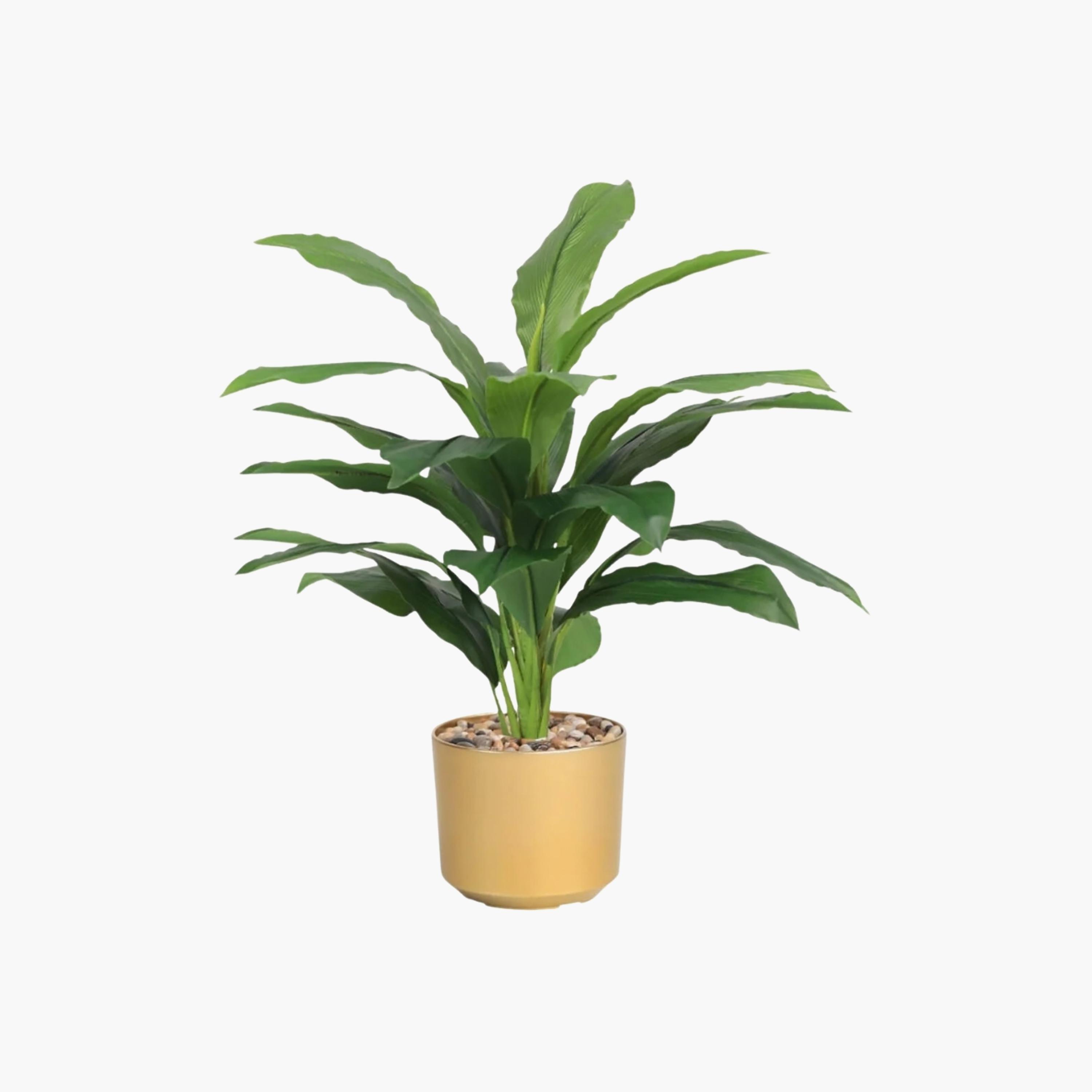 نبتة أوراق صناعية بأصيص من ماريا هومز-household-gardenandoutdoor-artificialflowersandplants-flowers-image-2