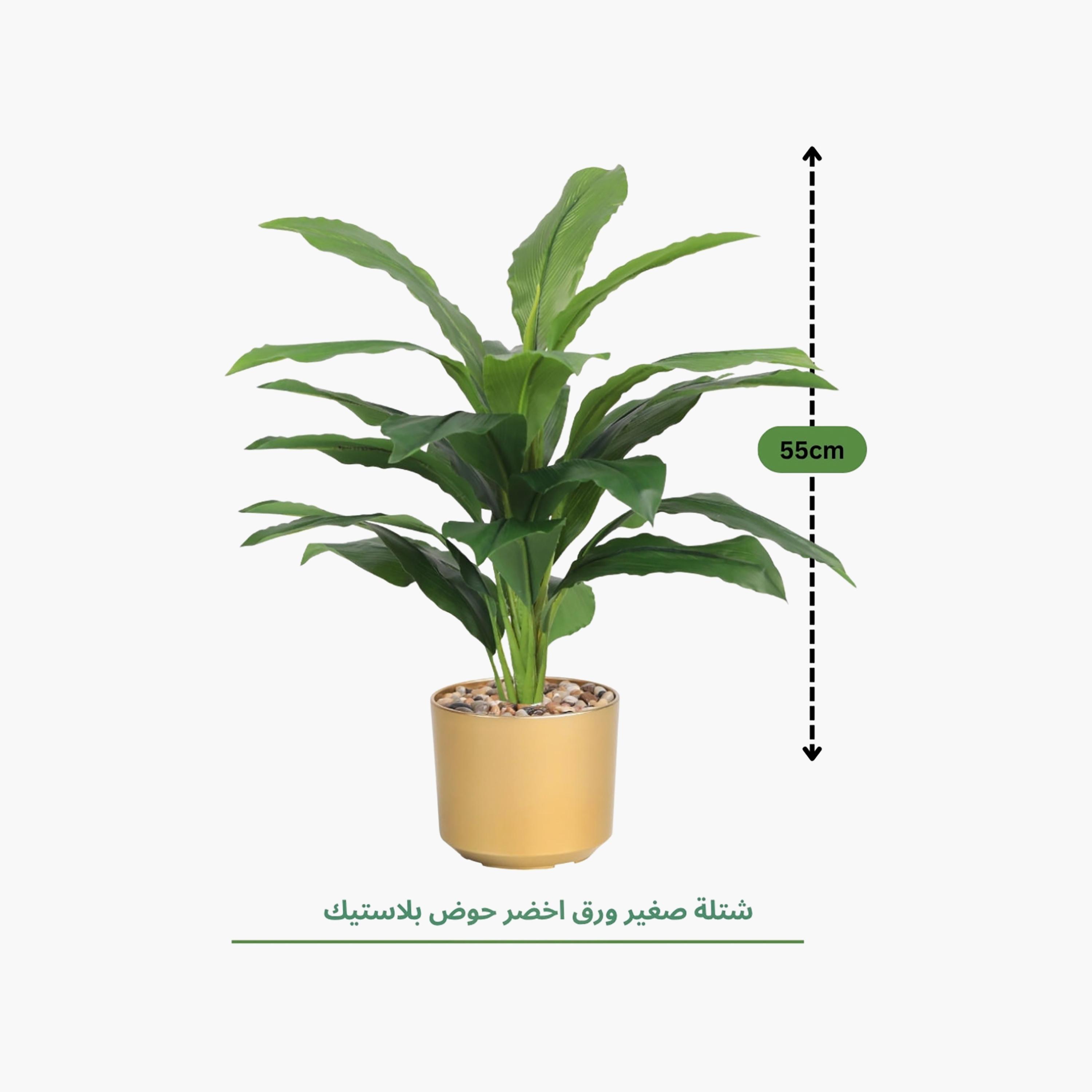 نبتة أوراق صناعية بأصيص من ماريا هومز-household-gardenandoutdoor-artificialflowersandplants-flowers-image-4