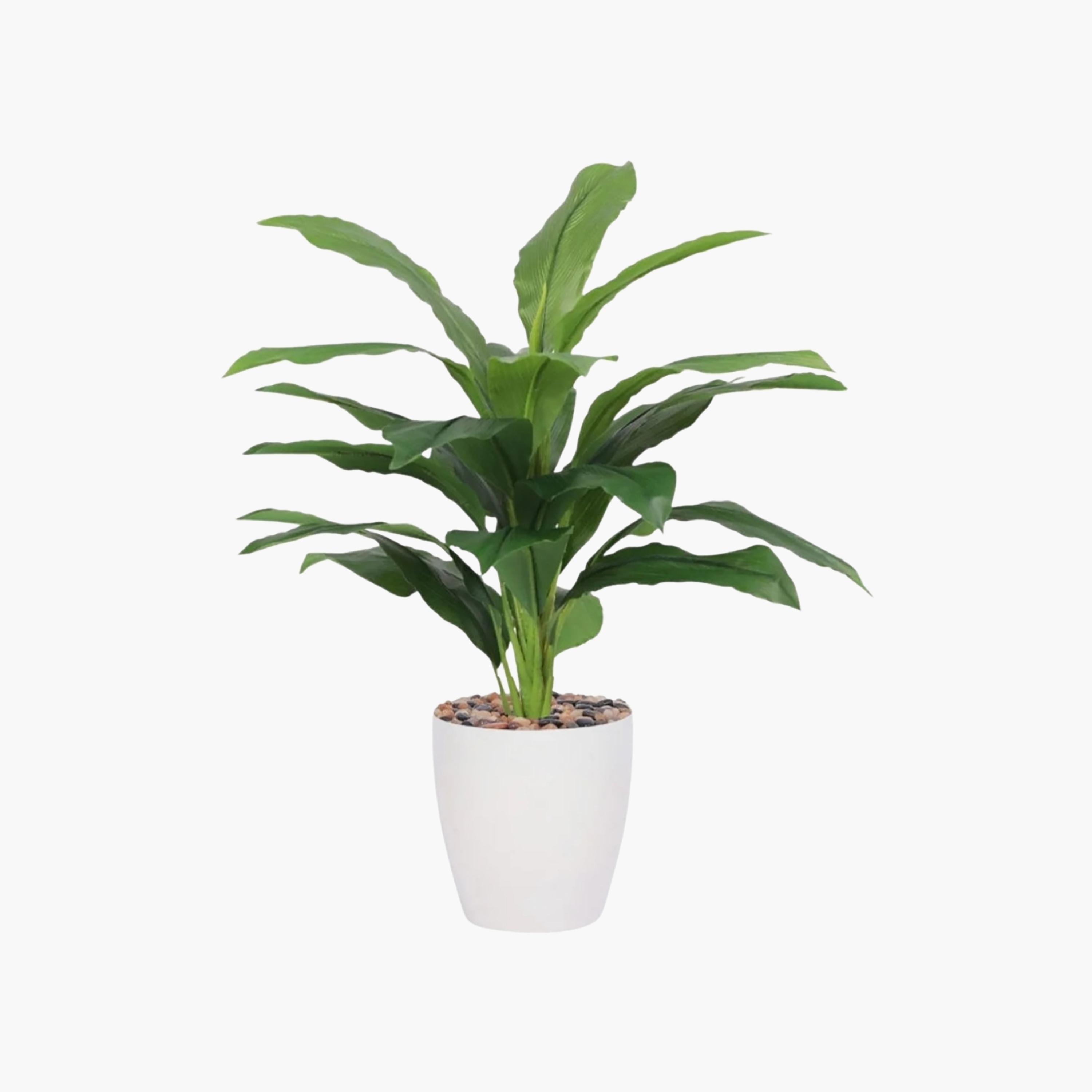 Maria Homes Potted Artificial Leaf Plant-household-gardenandoutdoor-artificialflowersandplants-flowers-image-2