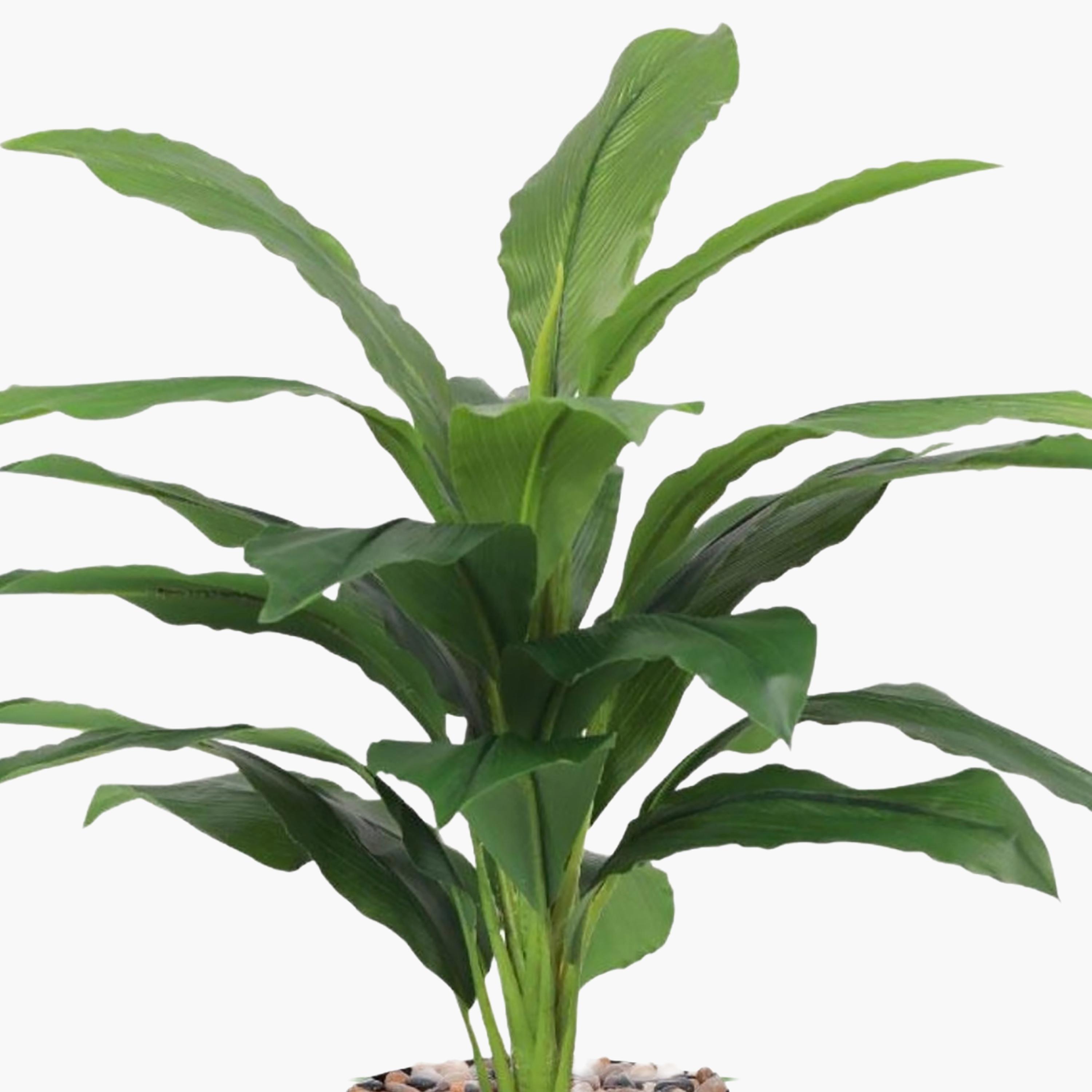 Maria Homes Potted Artificial Leaf Plant-household-gardenandoutdoor-artificialflowersandplants-flowers-image-3
