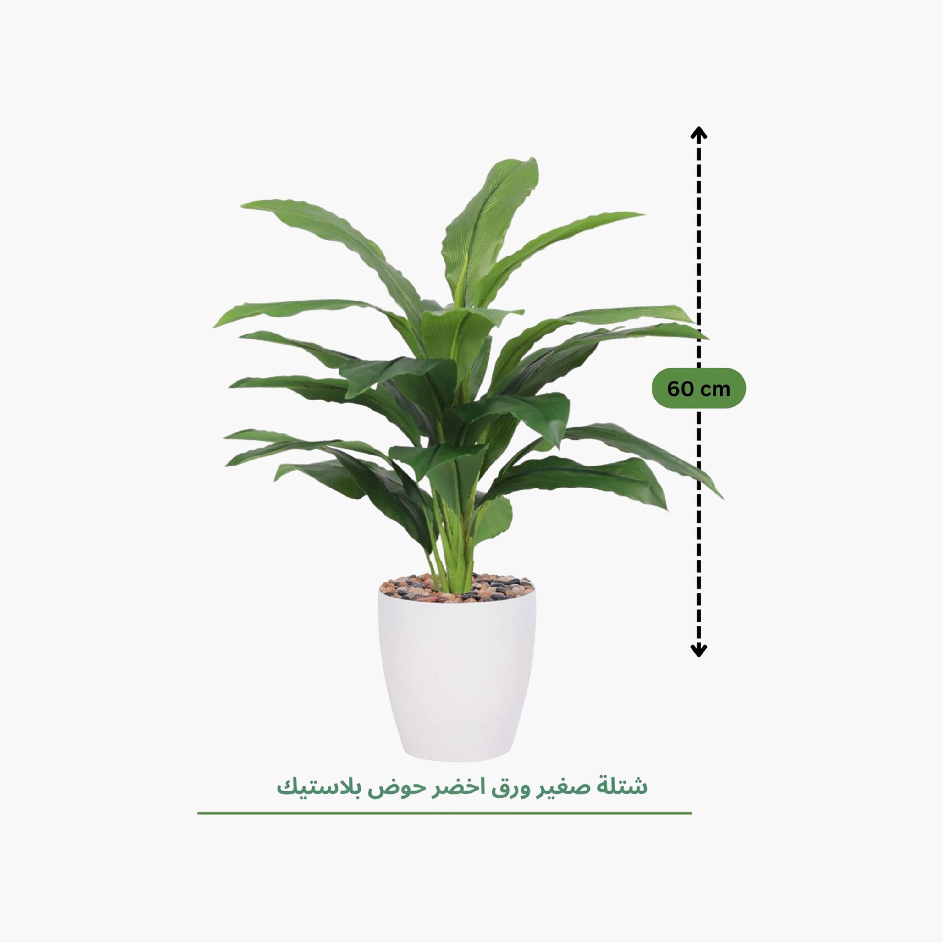Maria Homes Potted Artificial Leaf Plant-household-gardenandoutdoor-artificialflowersandplants-flowers-image-4