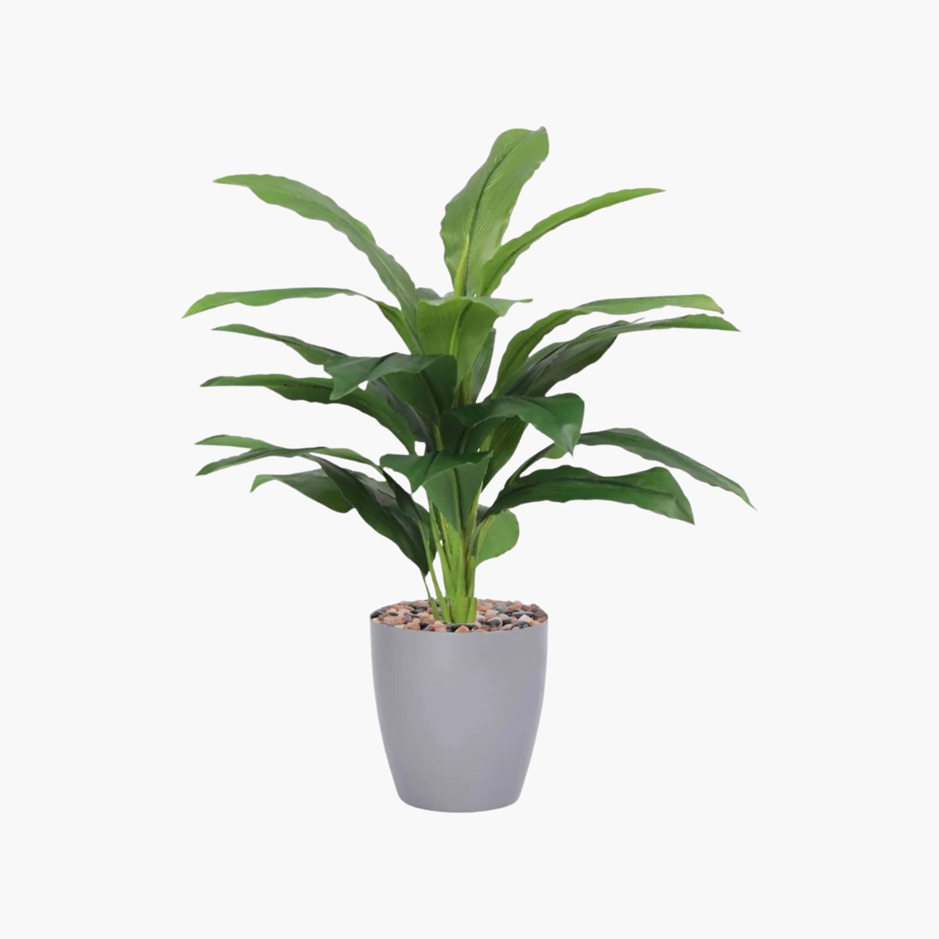 Maria Homes Potted Artificial Leaf Plant-household-gardenandoutdoor-artificialflowersandplants-flowers-image-2