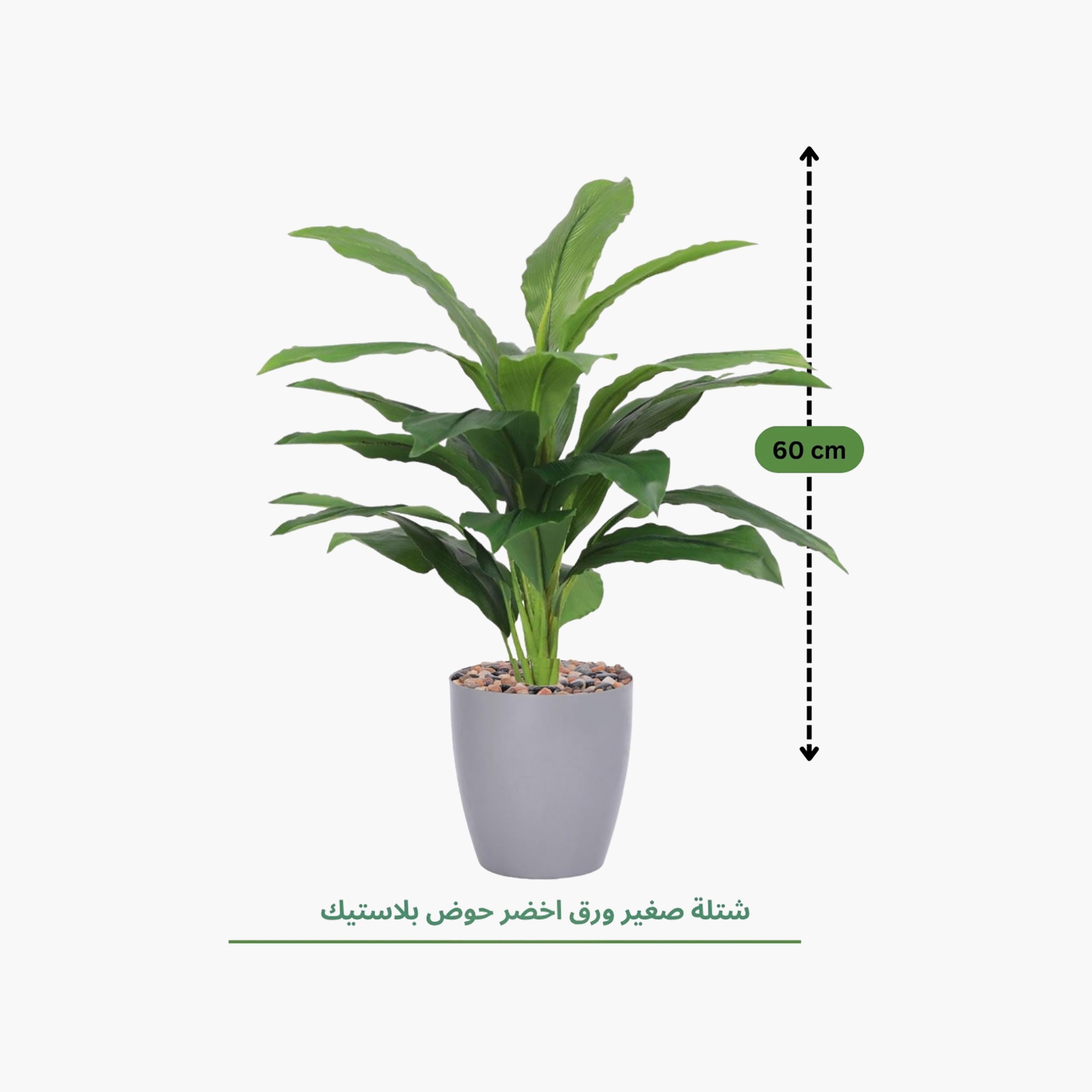 Maria Homes Potted Artificial Leaf Plant-household-gardenandoutdoor-artificialflowersandplants-flowers-image-4