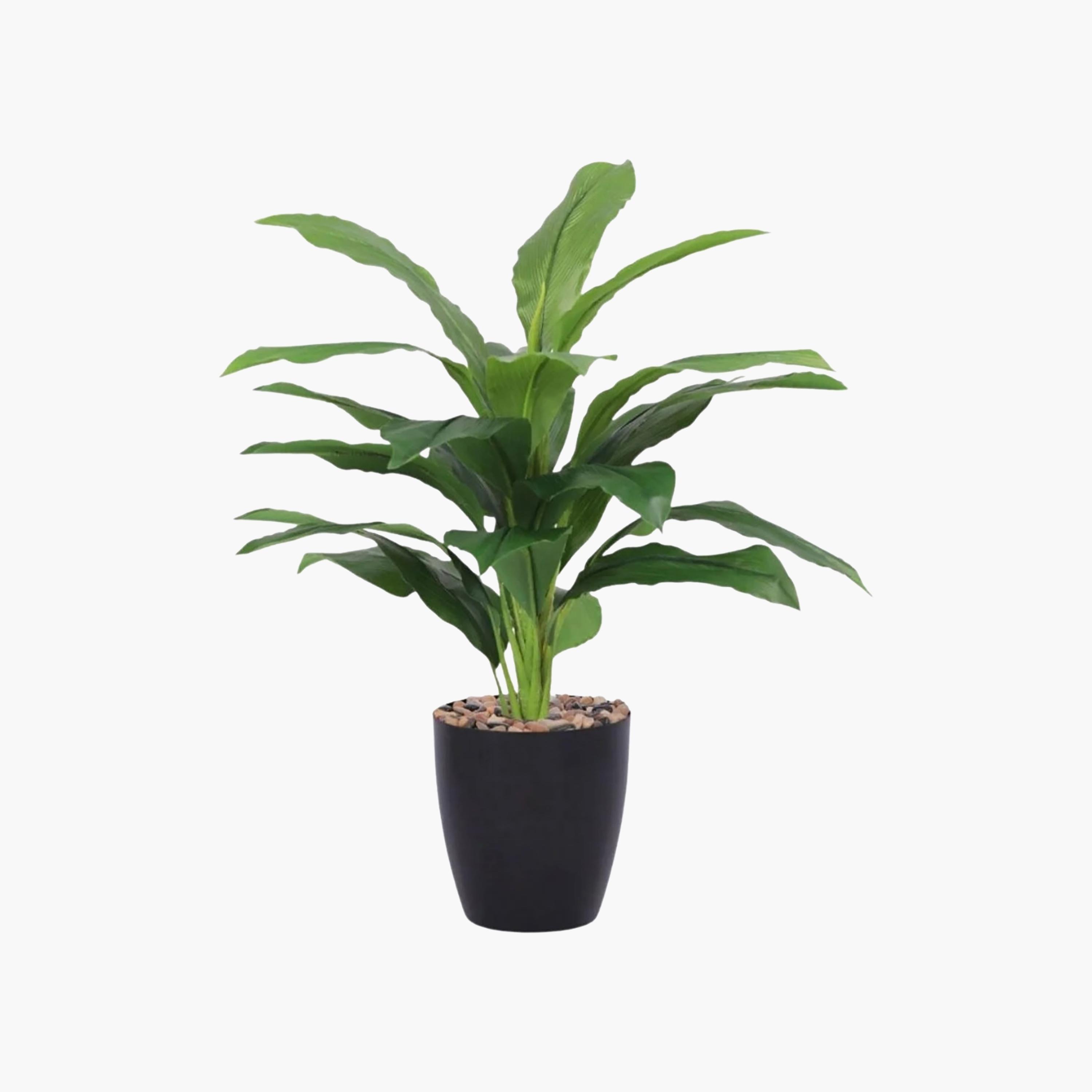 نبتة أوراق صناعية بأصيص من ماريا هومز-household-gardenandoutdoor-artificialflowersandplants-flowers-image-2