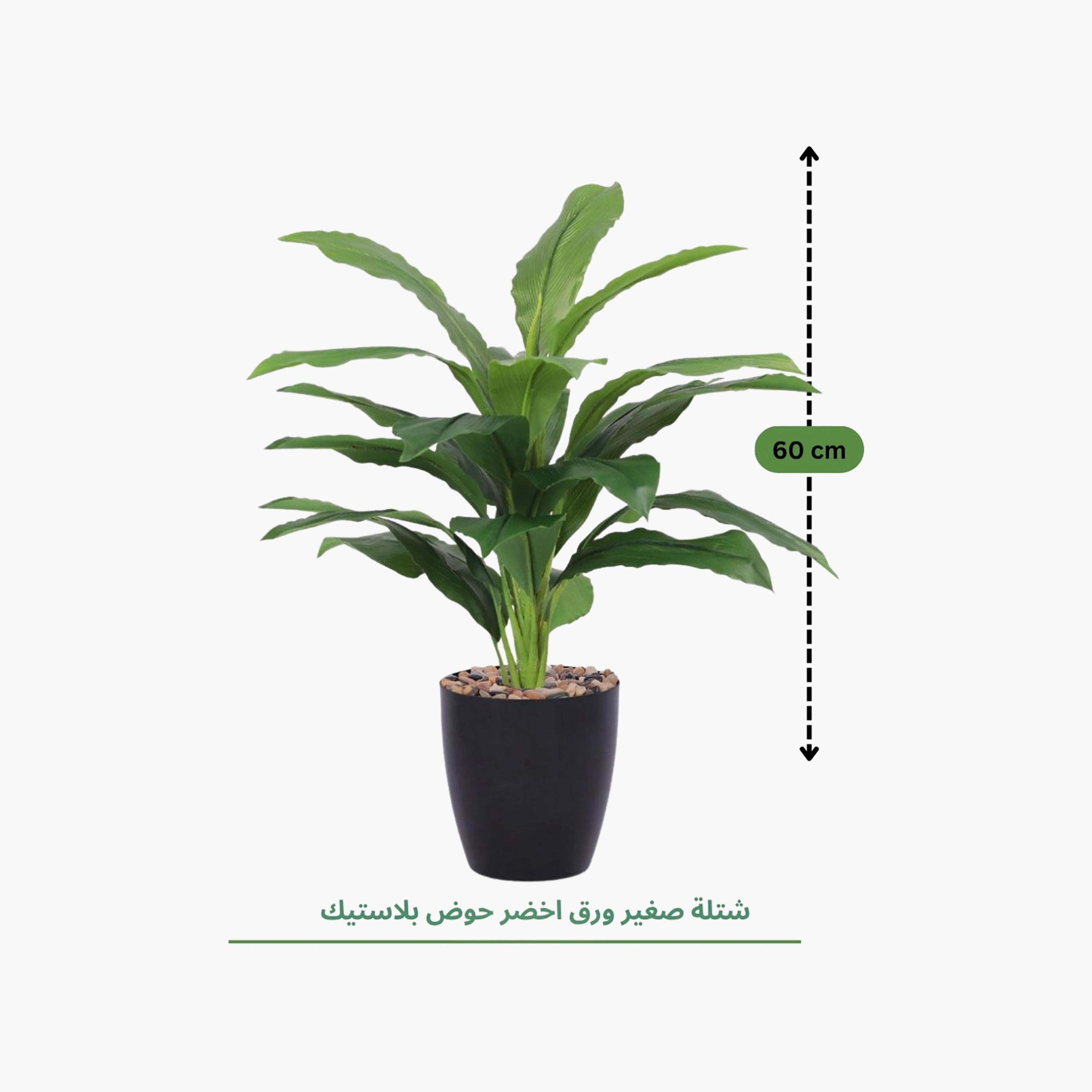 نبتة أوراق صناعية بأصيص من ماريا هومز-household-gardenandoutdoor-artificialflowersandplants-flowers-image-4