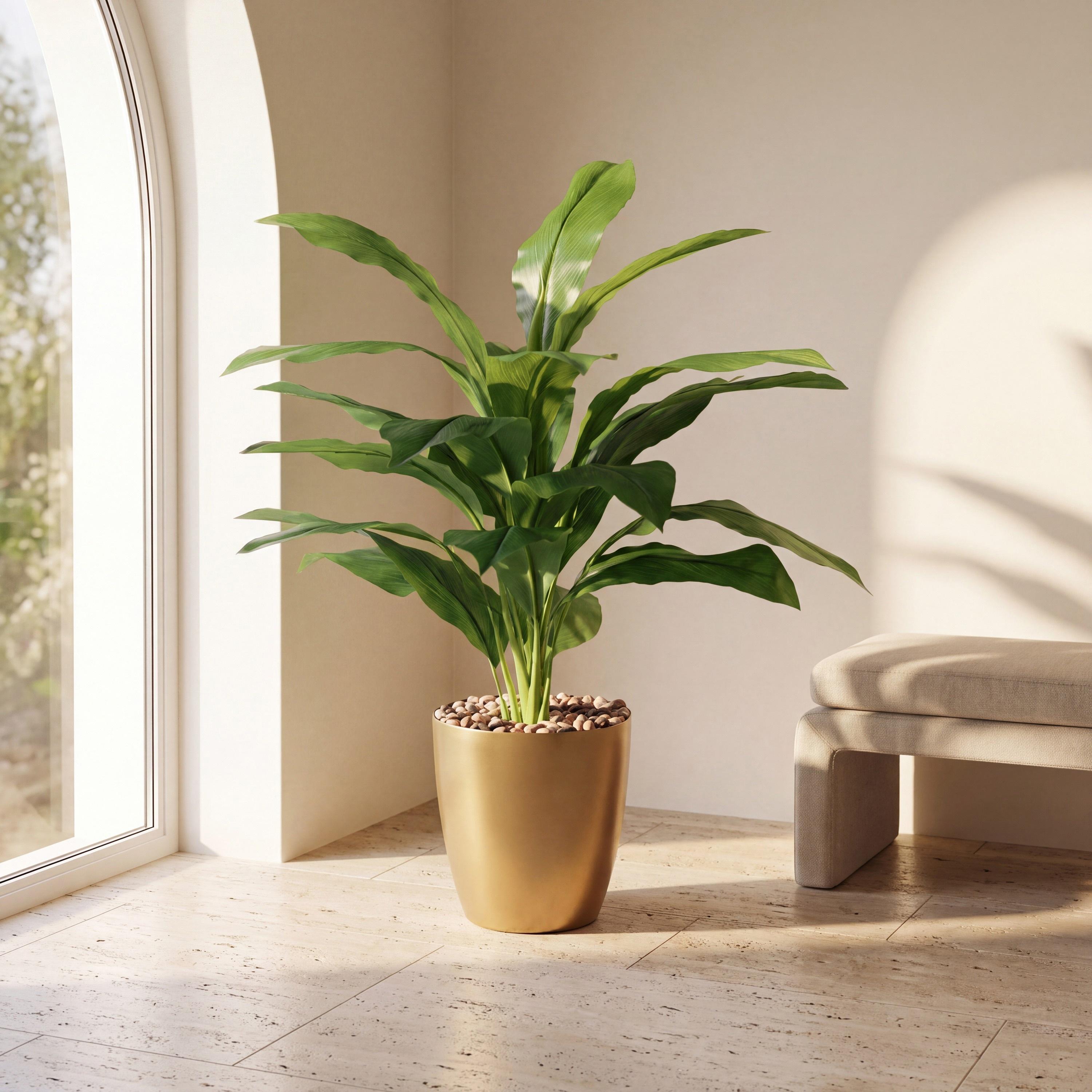 نبتة أوراق صناعية بأصيص من ماريا هومز-household-gardenandoutdoor-artificialflowersandplants-flowers-image-1