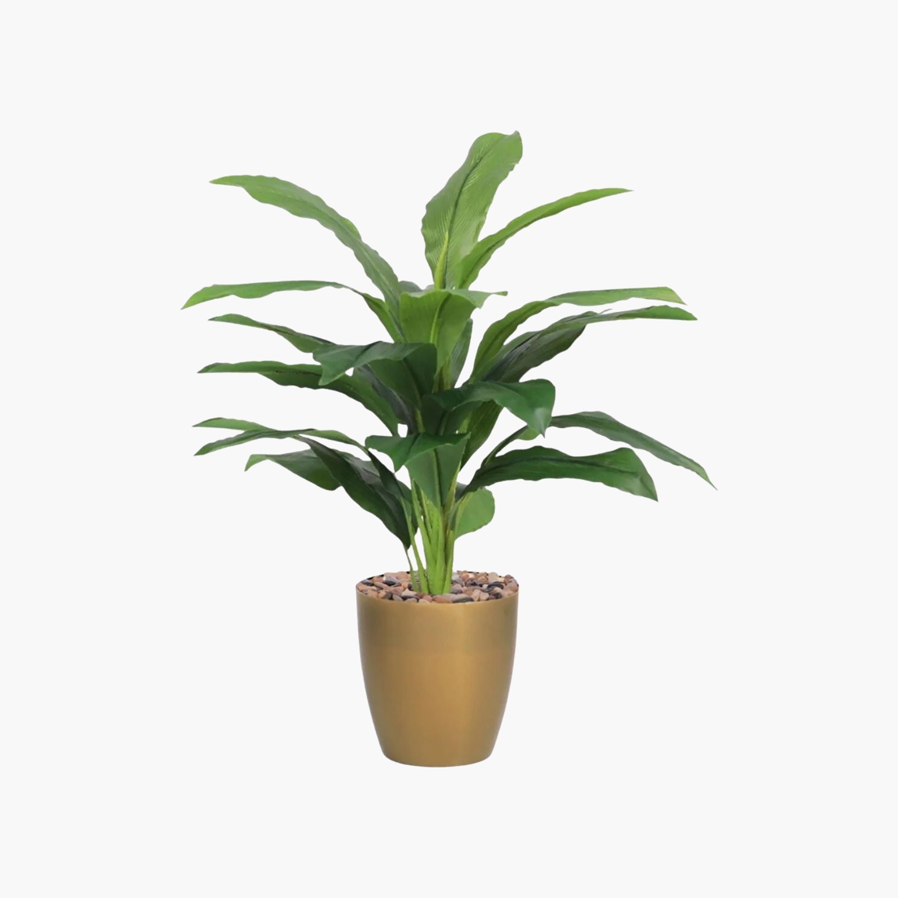 نبتة أوراق صناعية بأصيص من ماريا هومز-household-gardenandoutdoor-artificialflowersandplants-flowers-image-2