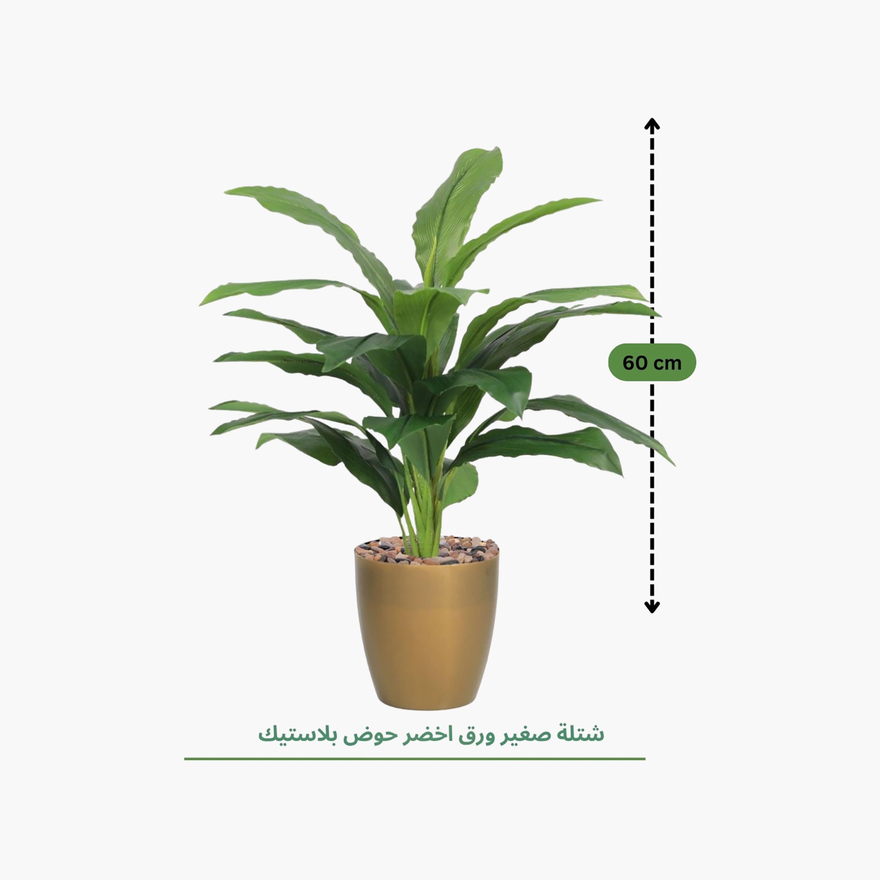 نبتة أوراق صناعية بأصيص من ماريا هومز-household-gardenandoutdoor-artificialflowersandplants-flowers-image-4