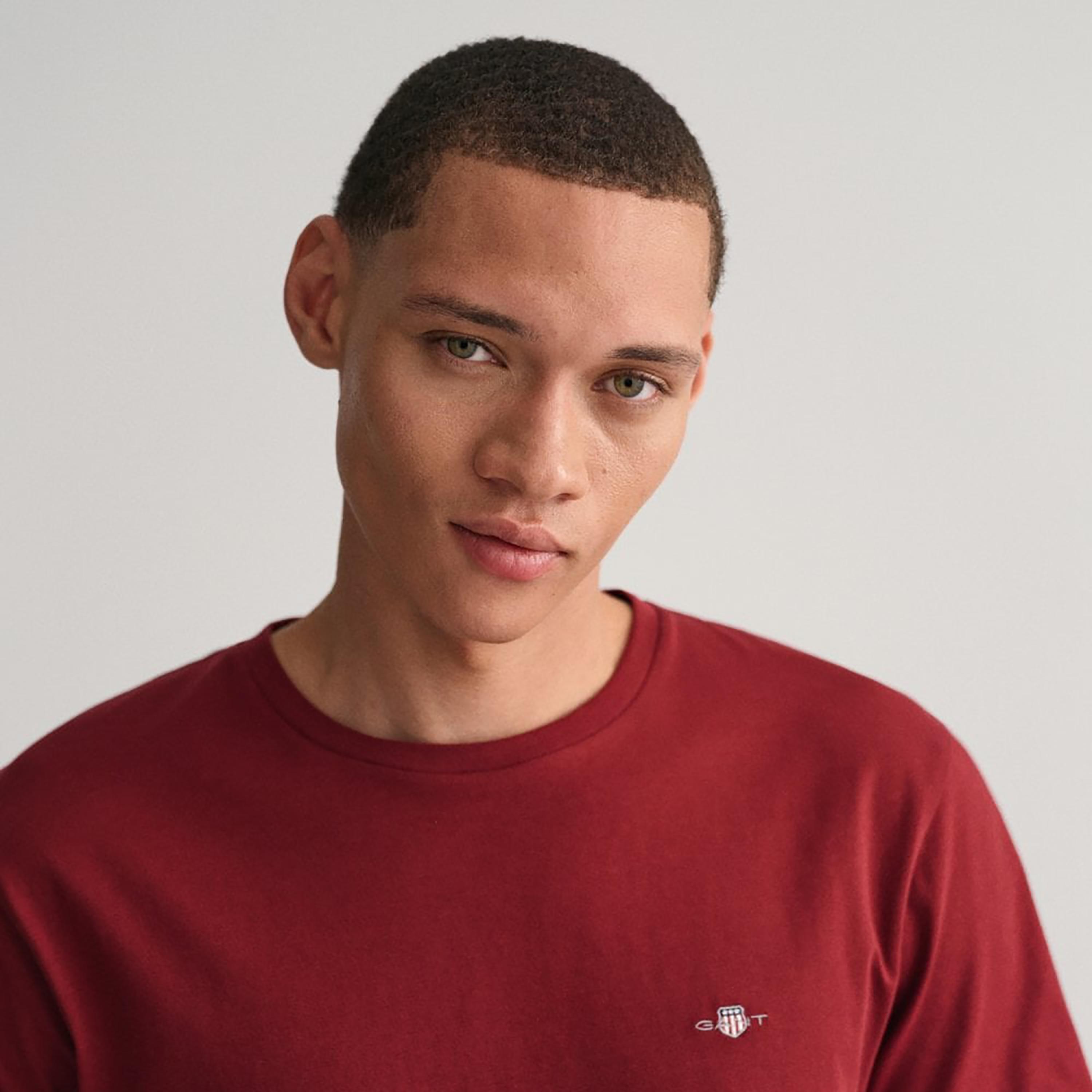 Gant Shield Regular Fit Short Sleeves Crew Neck Men's T-Shirt-men-clothing-tshirtsandpolos-tshirts-image-3