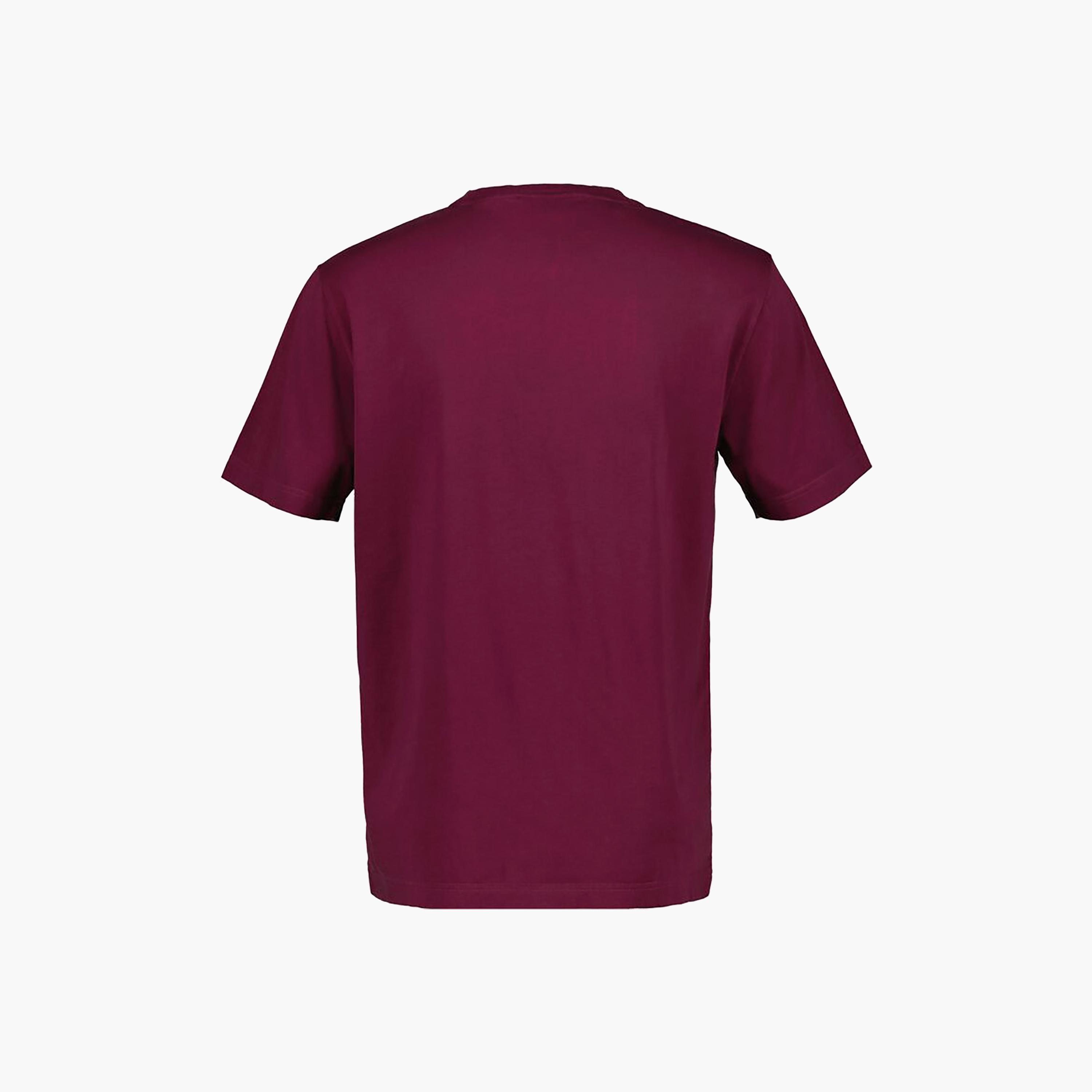 Gant Washed Logo Print Round Neck Short Sleeves Men's T-Shirt-men-clothing-tshirtsandpolos-tshirts-image-6