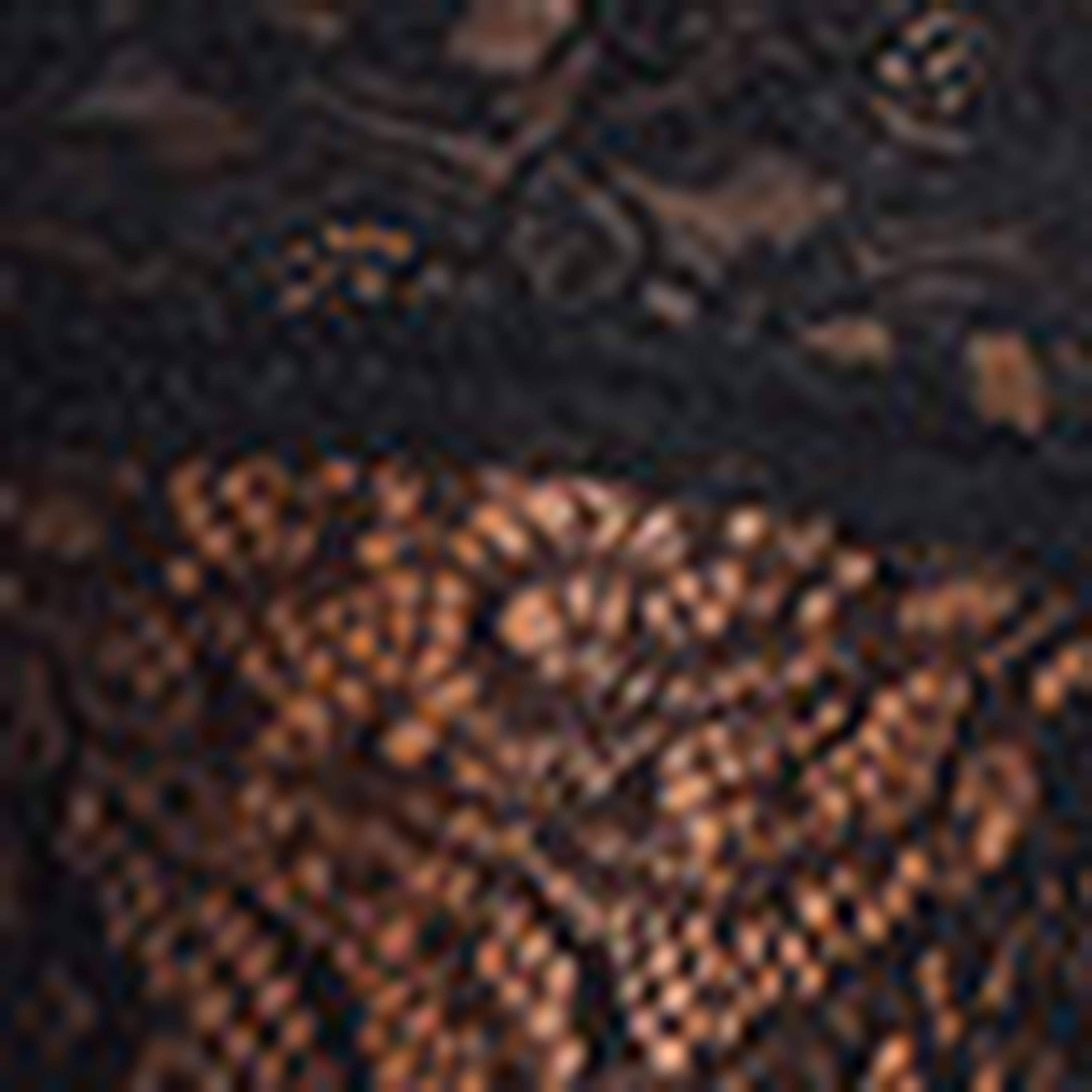 Ann Summers Black Floral Lace Women's Hold-Ups-women-socksandstockings-image-4