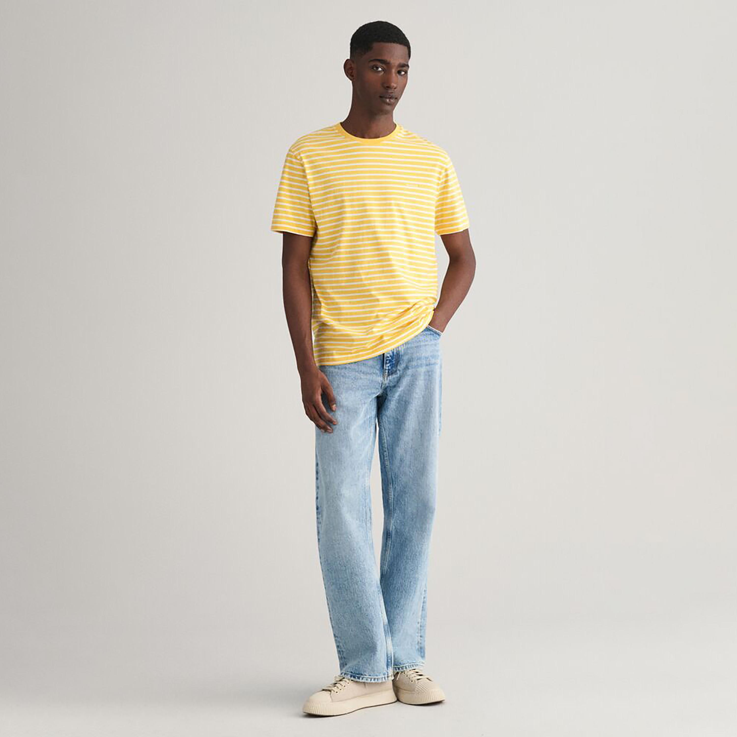 تي شيرت مخطط بأكمام قصيرة ورقبة دائرية من غانت-men-clothing-tshirtsandpolos-tshirts-image-14