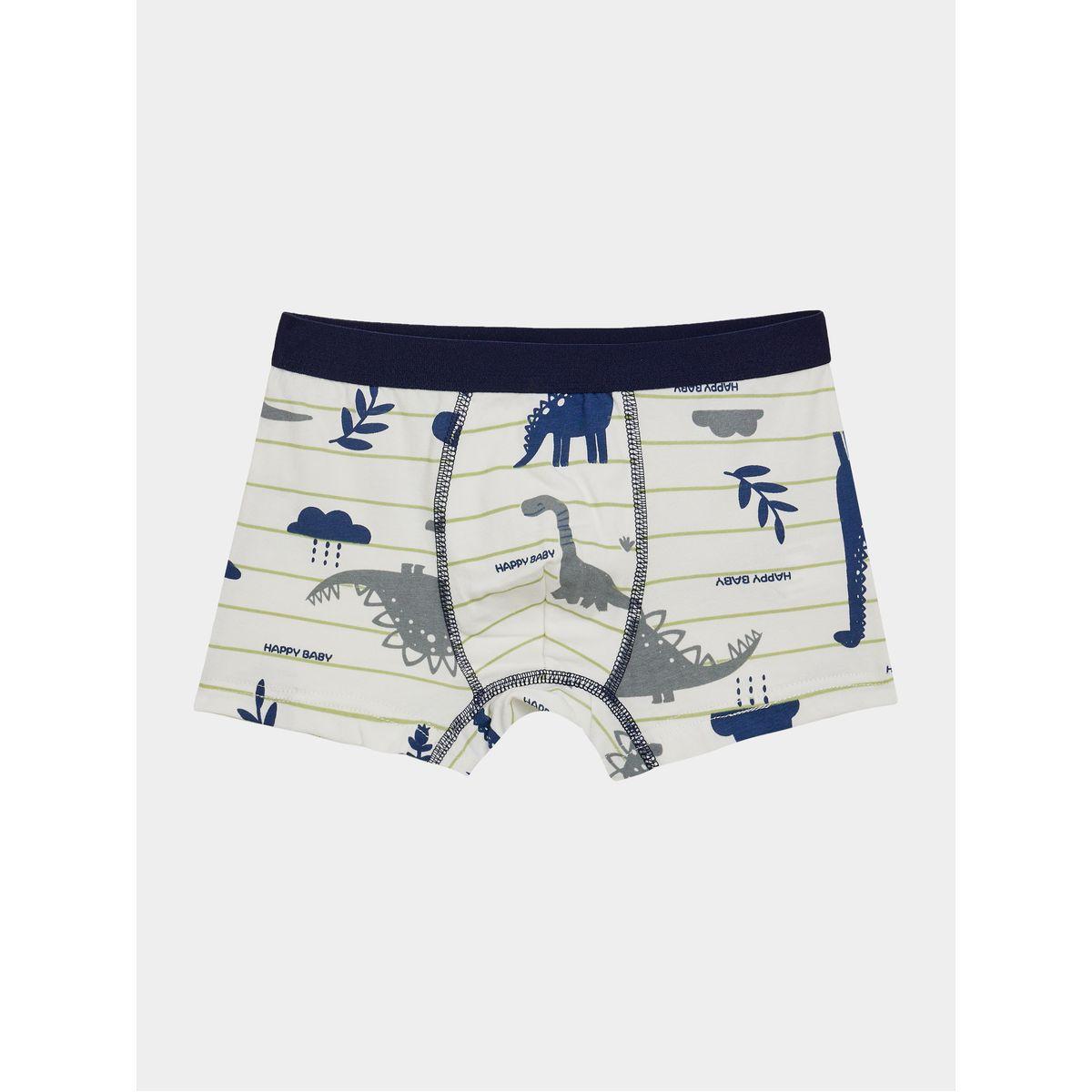 مجموعة من 4 سراويل داخلية-boys-clothing-innerwear-image-4