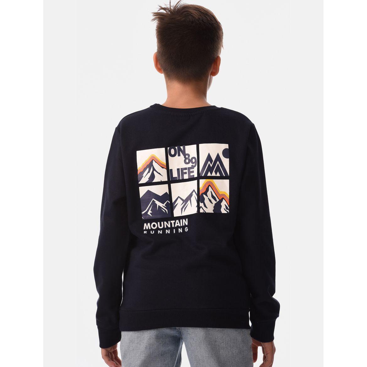 Round Neck Cuffed Sleeves Sweatshirt-boys-clothing-winterwear-sweatshirts-image-4