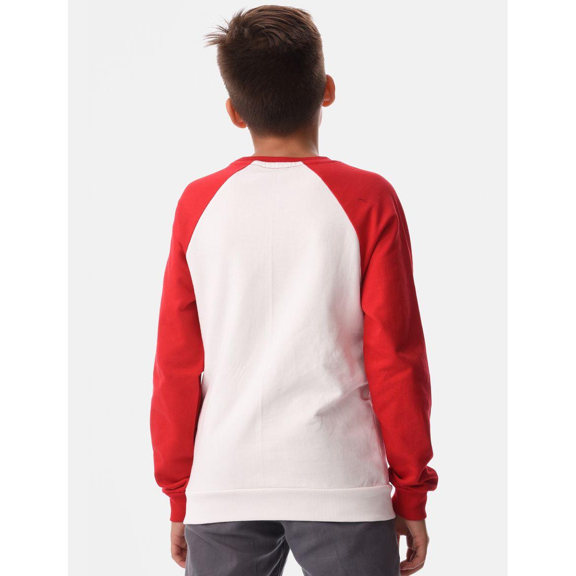 Graphic Print Cuffed Sleeves Sweatshirt-boys-clothing-winterwear-sweatshirts-image-5