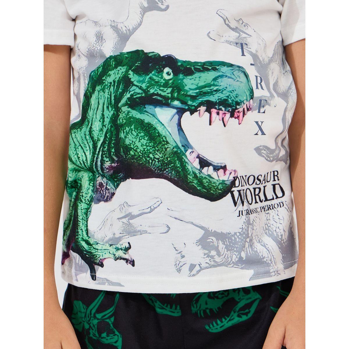 مجموعة من شورت وتيشيرت بطبعة ديناصور-boys-clothing-setsandcoords-image-3