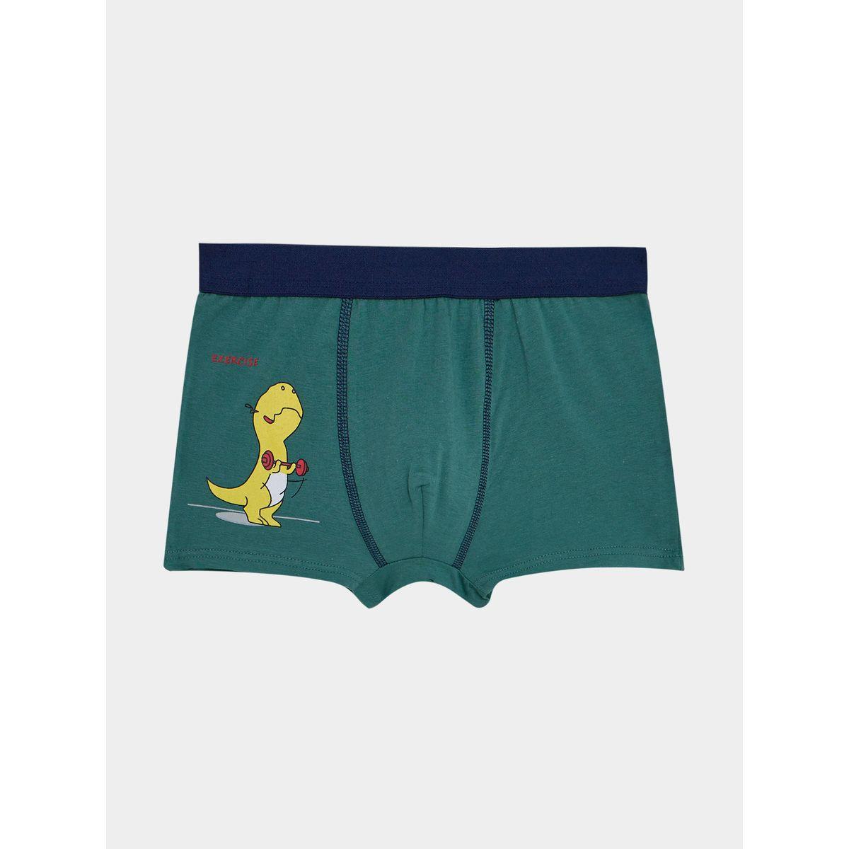 مجموعة من 4 سراويل داخلية بطبعات-girls-clothing-innerwear-image-5